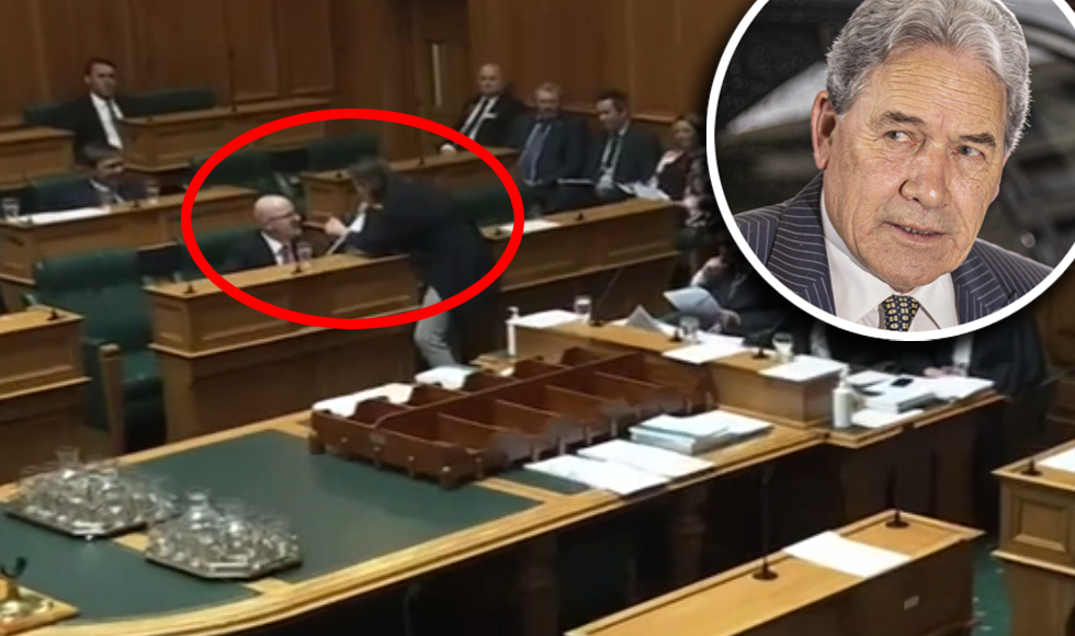 A parliamentary confrontation has caused a stir amongst politicians. Photo / Chris Marriner