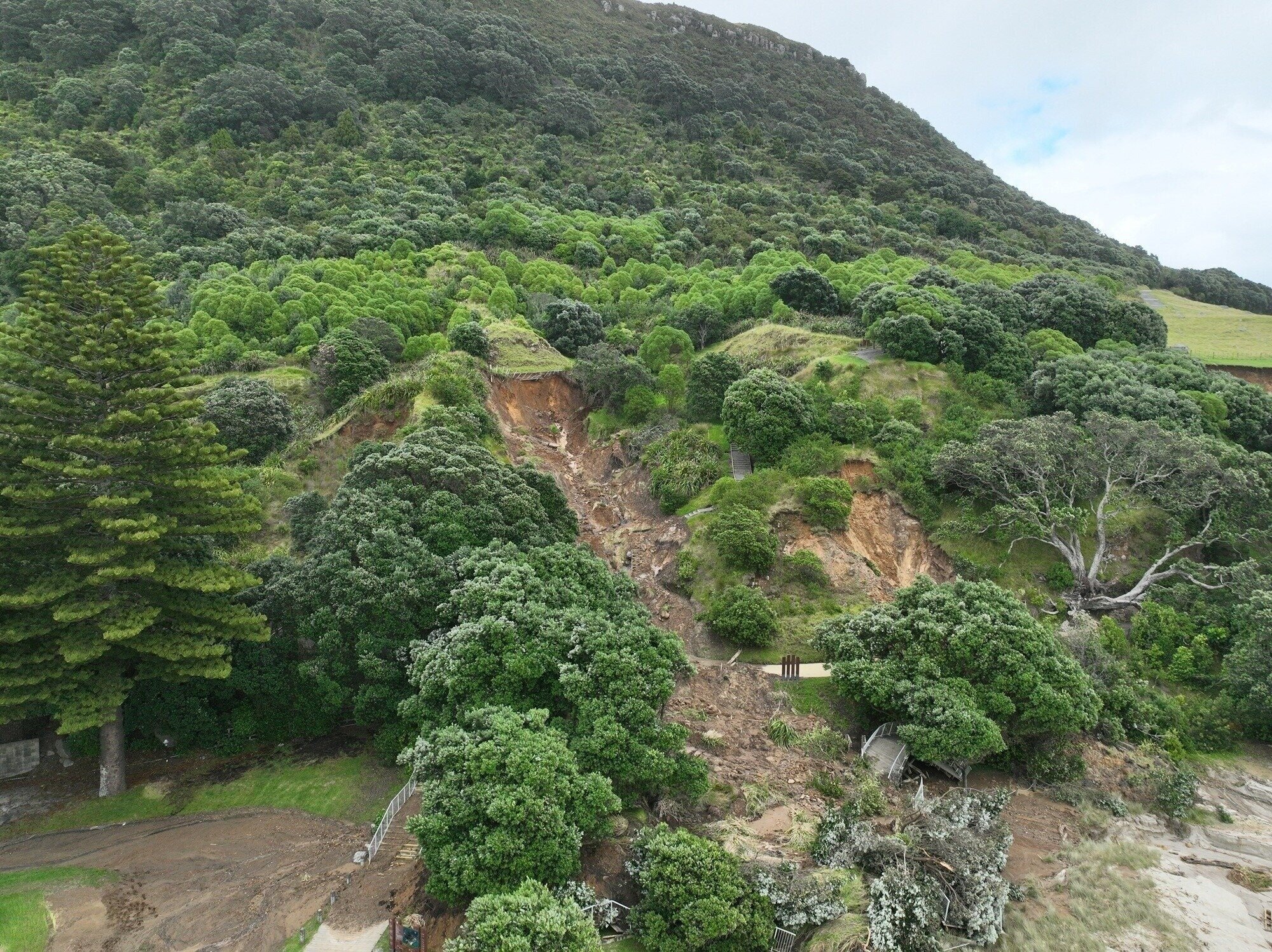 One of the 42 slips on Mauao blocking access to the summit and base track. Photo / Tauranga City Council