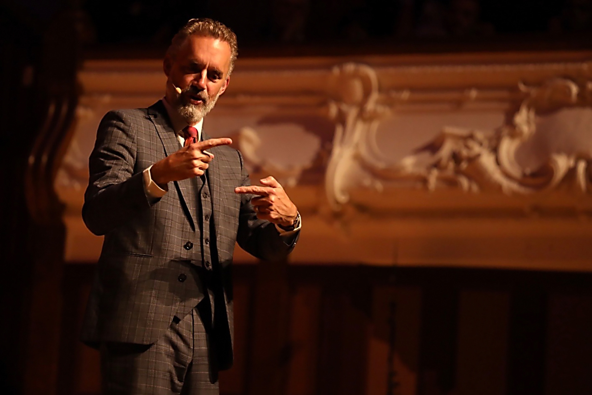 Jordan Peterson in New Zealand. Photo / Nick Reed
