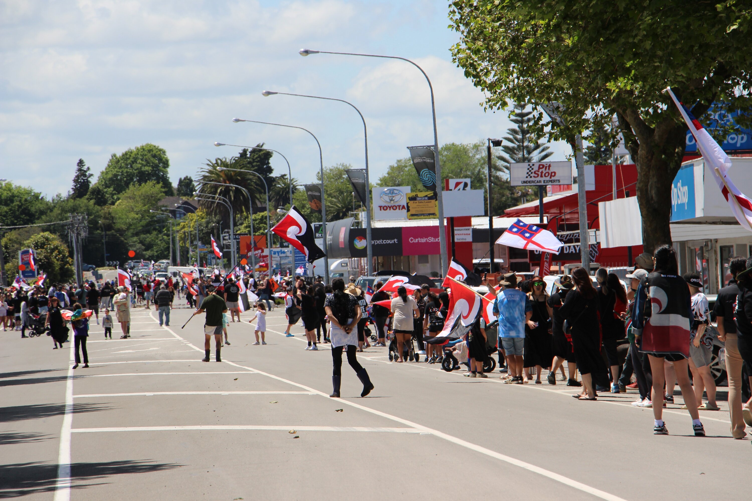 Hikoi mō te Tiriti in Levin.