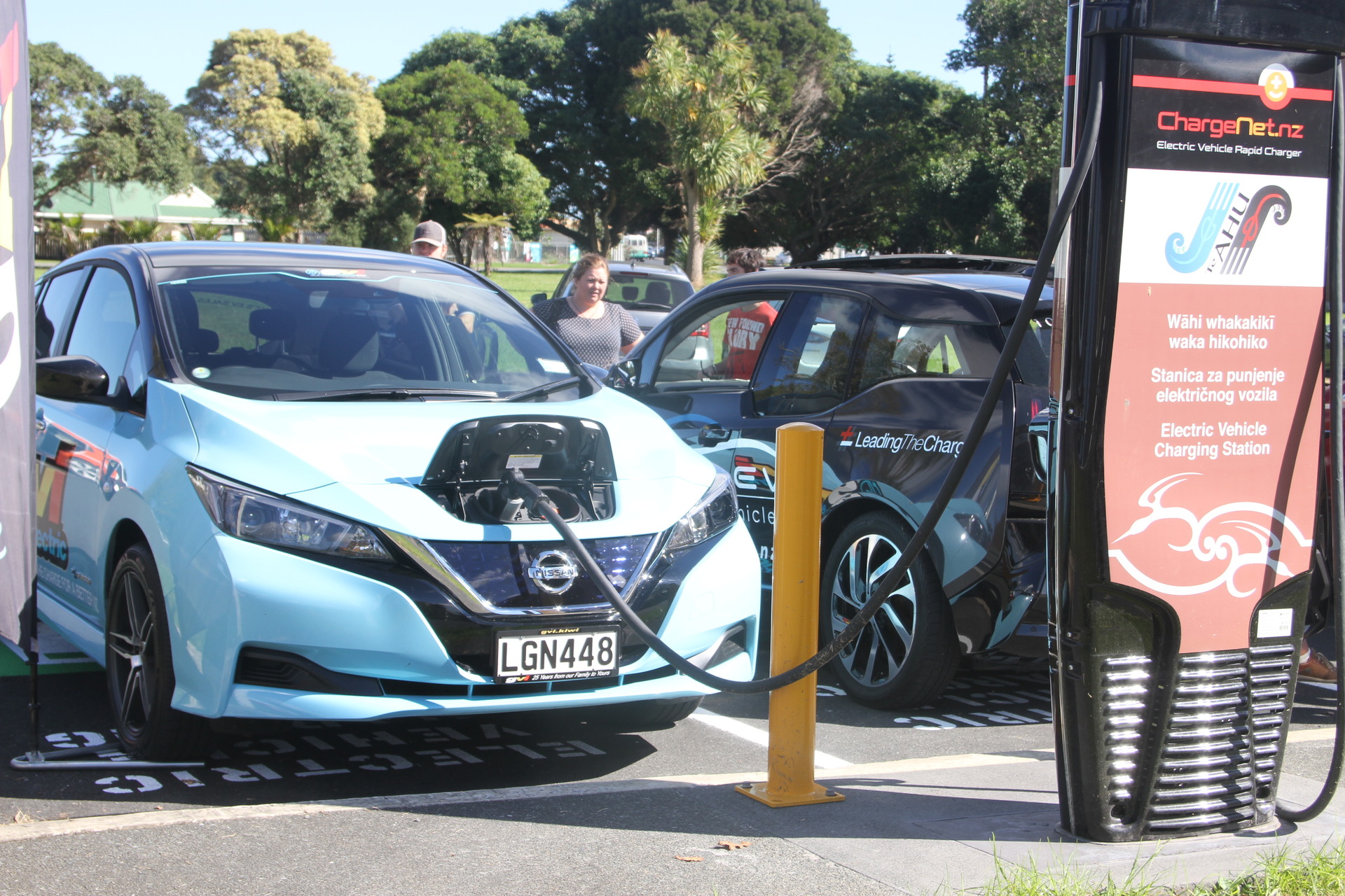 The Green Party would like to see all light vehicles being low emission by 2030. Photo / File