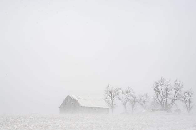 Whiteout conditions in rural Linn County, Iowa. Photo / via AP