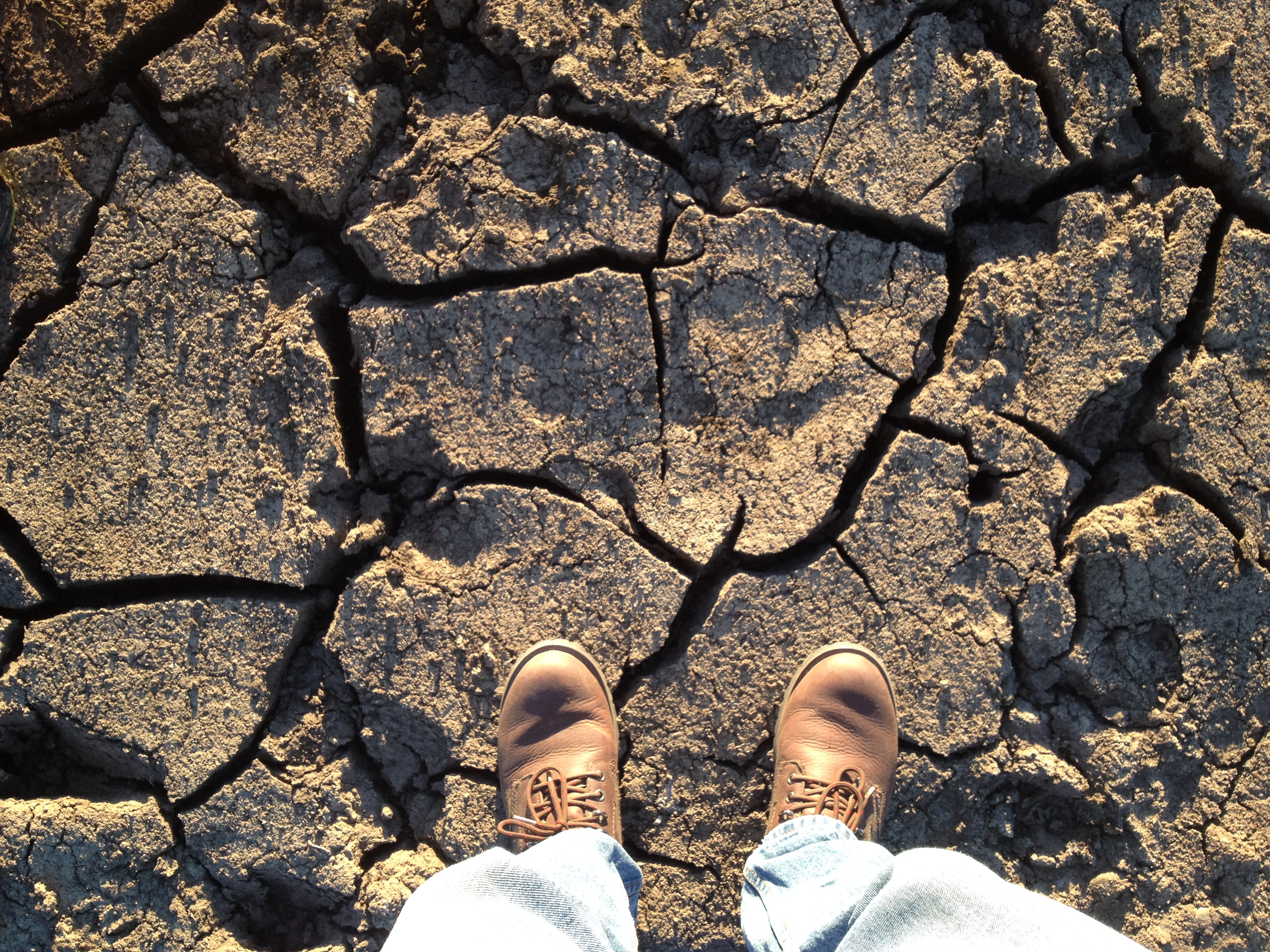 What will be our first El Niño summer since 2016 is now shaping up to be one of the most intense in eight decades - raising the risk of drought on the North Island's East Coast. Photo / Andrew Bonallack