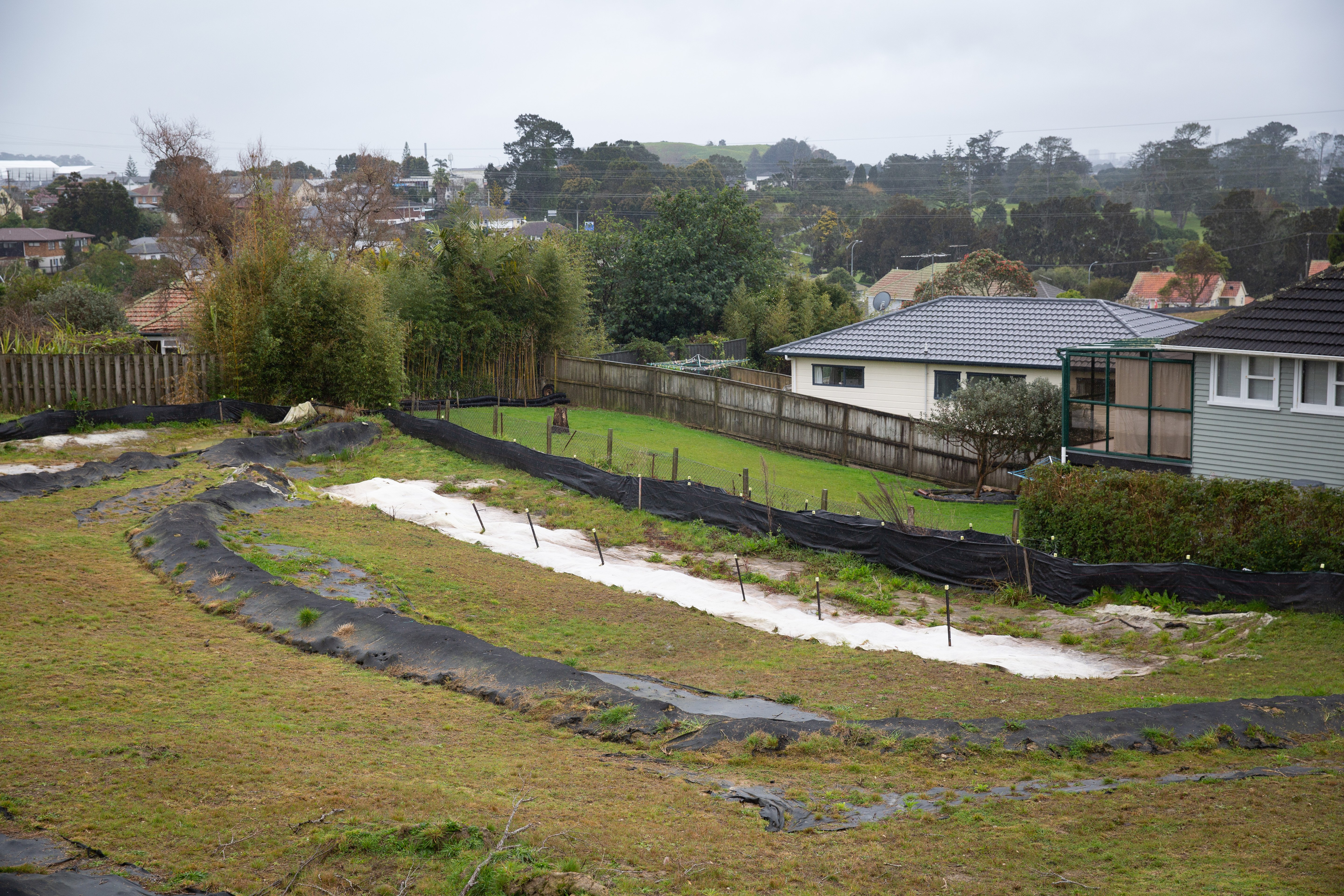Empty land near Vicki O'Regan's Mt Roskill house. Photo / Sylvie Whinray
