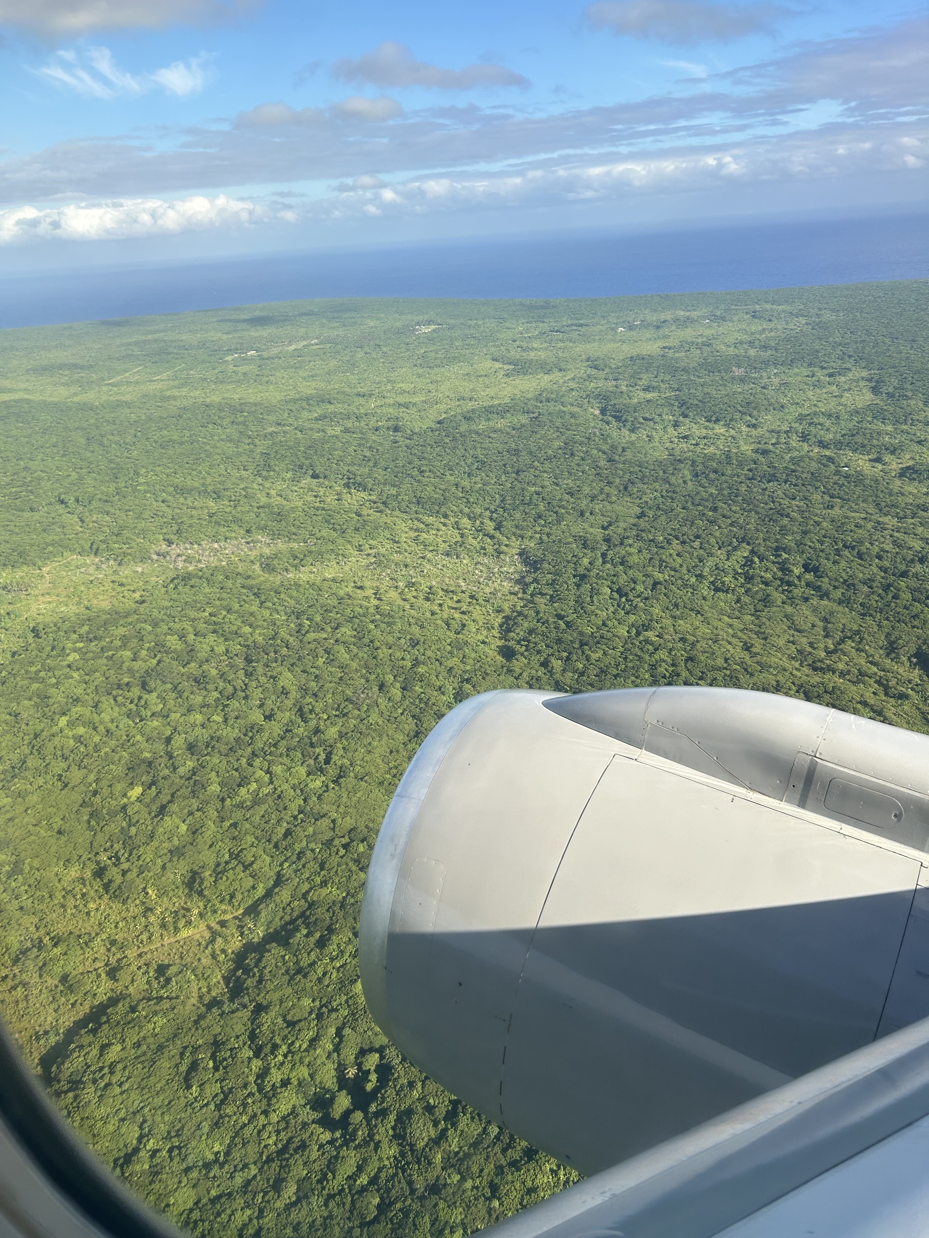 An extraordinary amount of Niue is covered in bush and forest. Photo / Adam Pearse