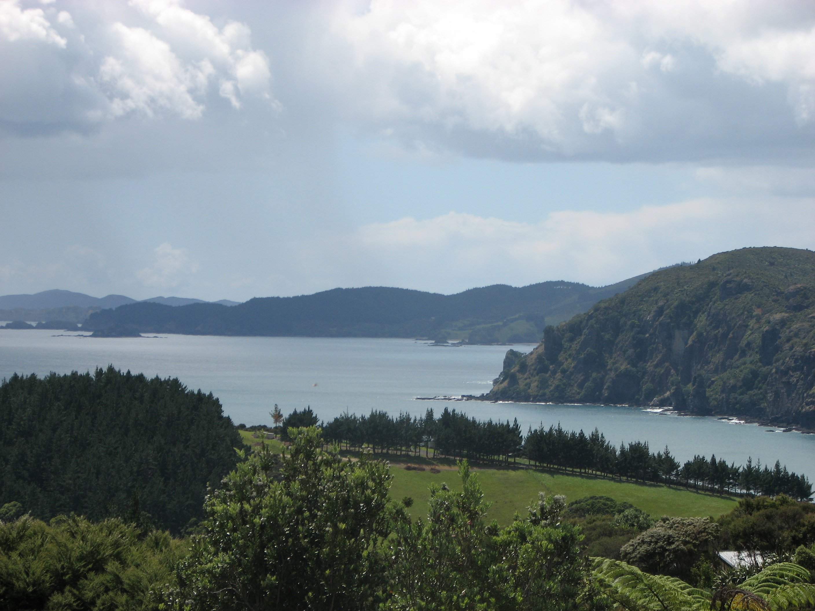 Taupō Bay is a semi-enclosed surf beach flanked by steep, bush-clad hills. 