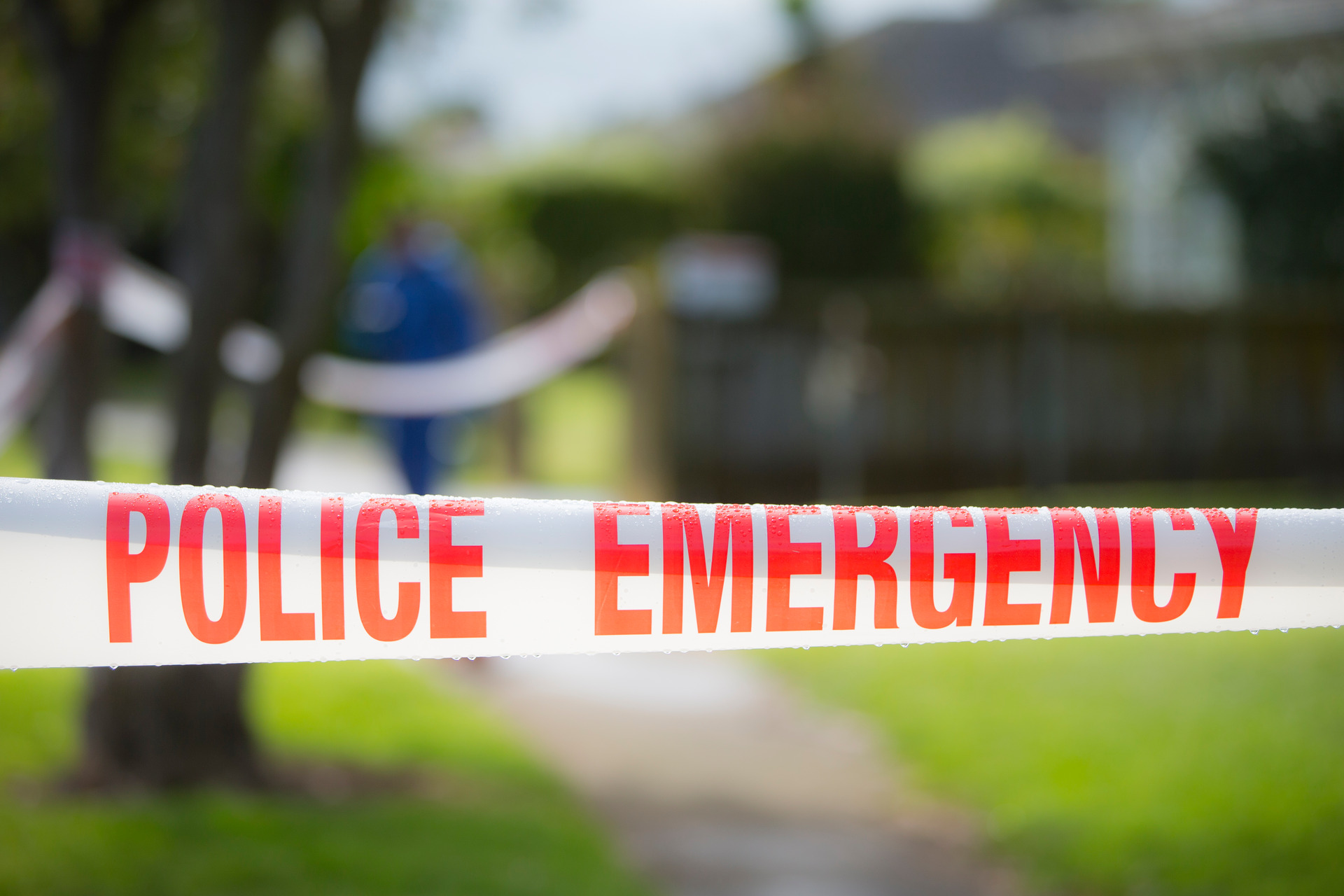 Cynric Temple-Camp has helped with many murder investigations. Photo / File