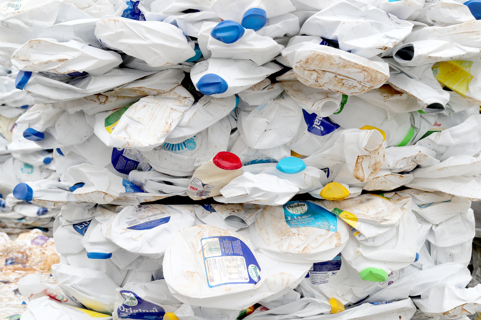 Milk containers waiting to be recycled. Photo / Bevan Conley