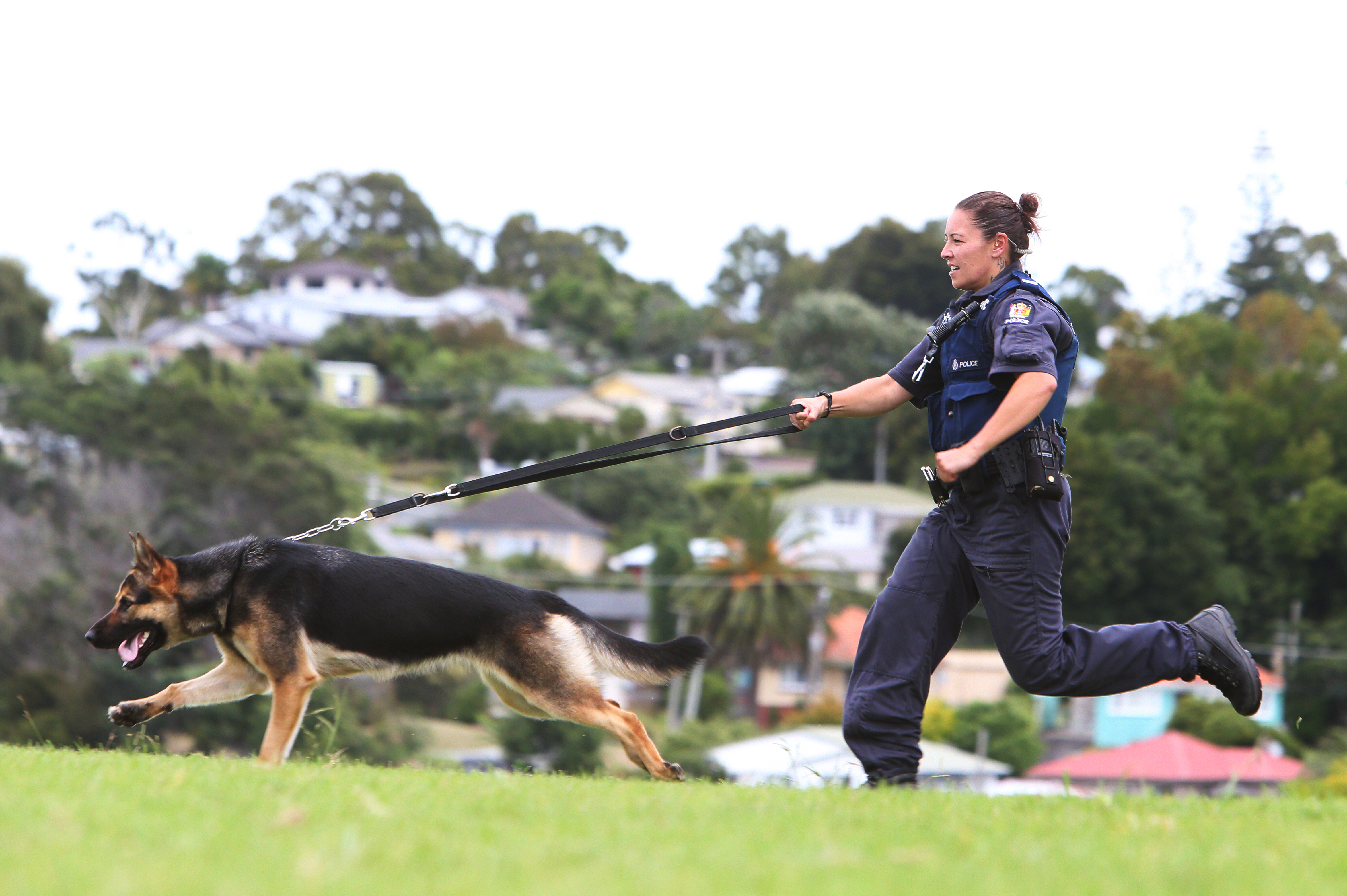 Region s first female dog handler NZ Herald