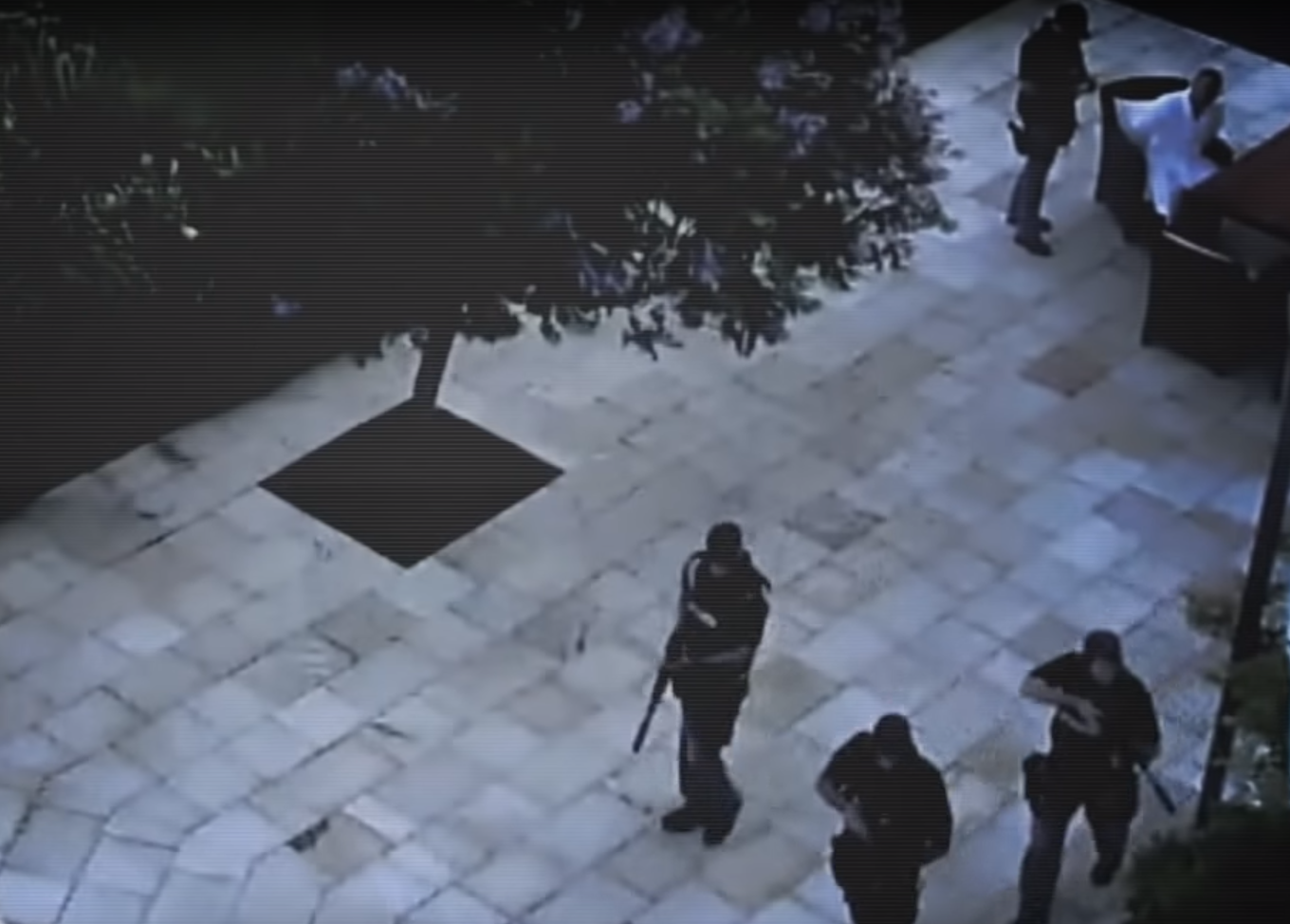 The moment Finn Batato was arrested (top right) was captured on security cameras at the former Dotcom Mansion in Coatesville. Photo / Supplied
