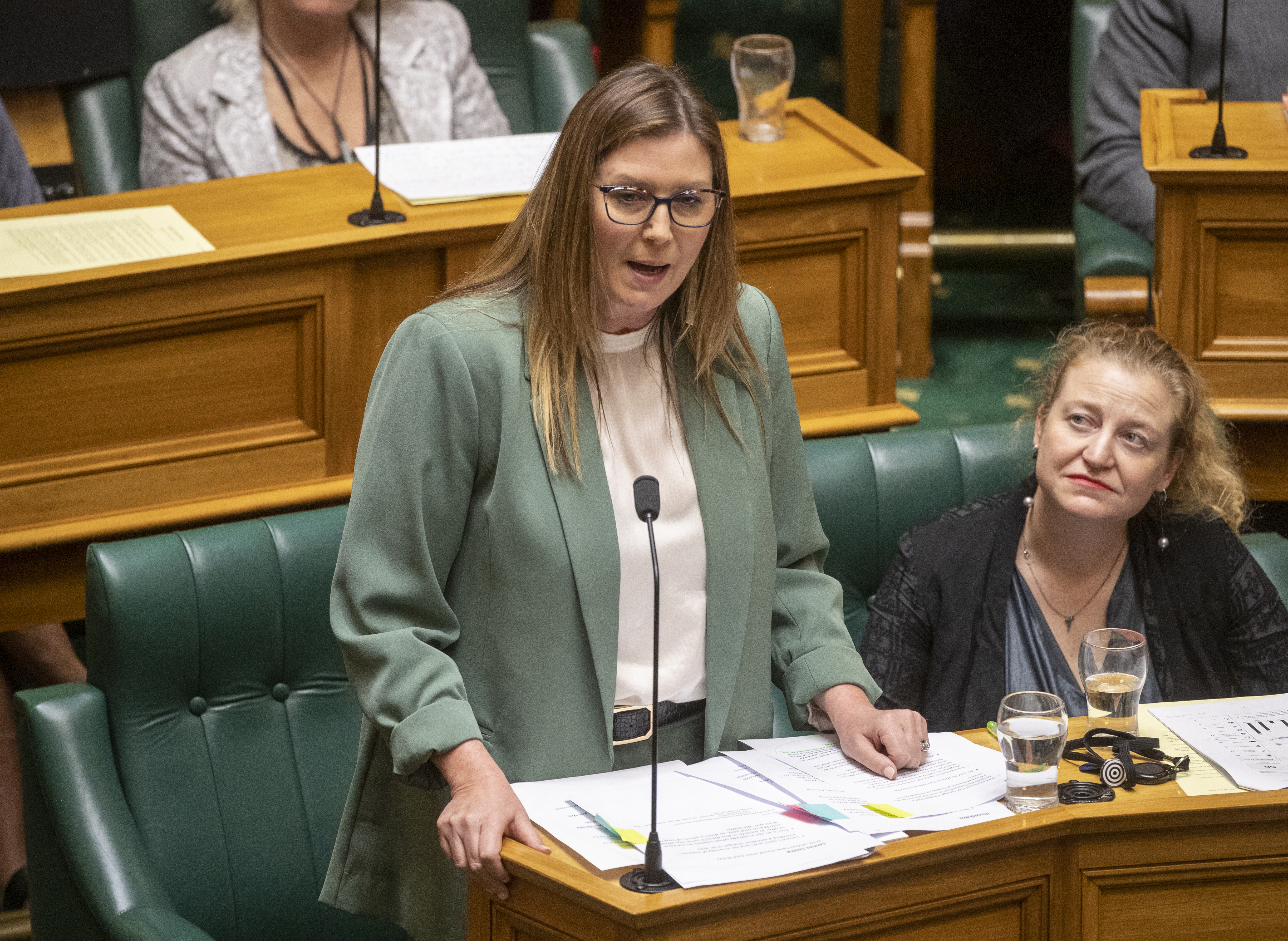 Associate Education Minister Jo Luxton answers during Question Time in Parliament today. Photo / Mark Mitchell