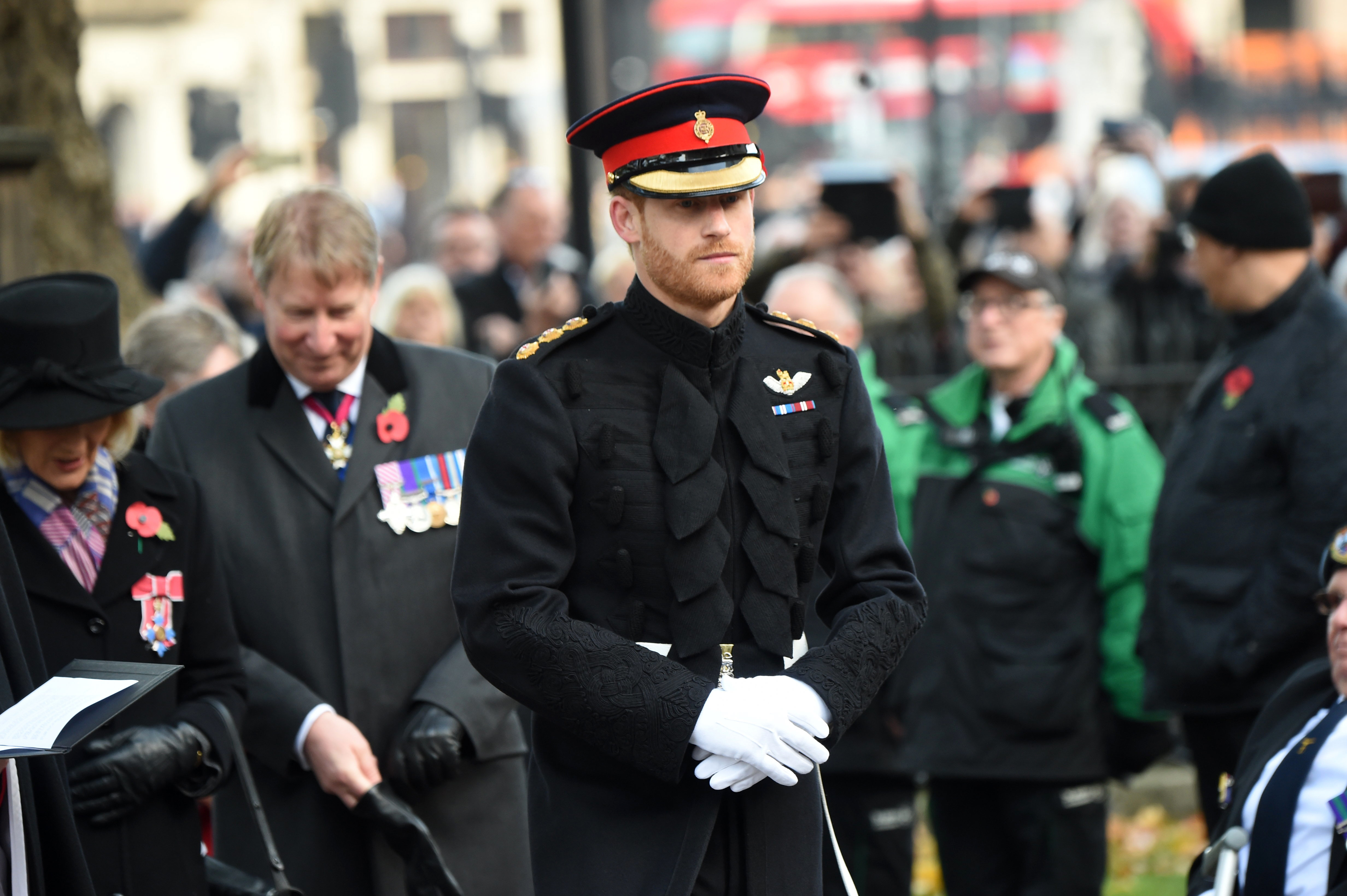 Beard could prevent Harry wearing his Blues and Royals uniform, historian  warns