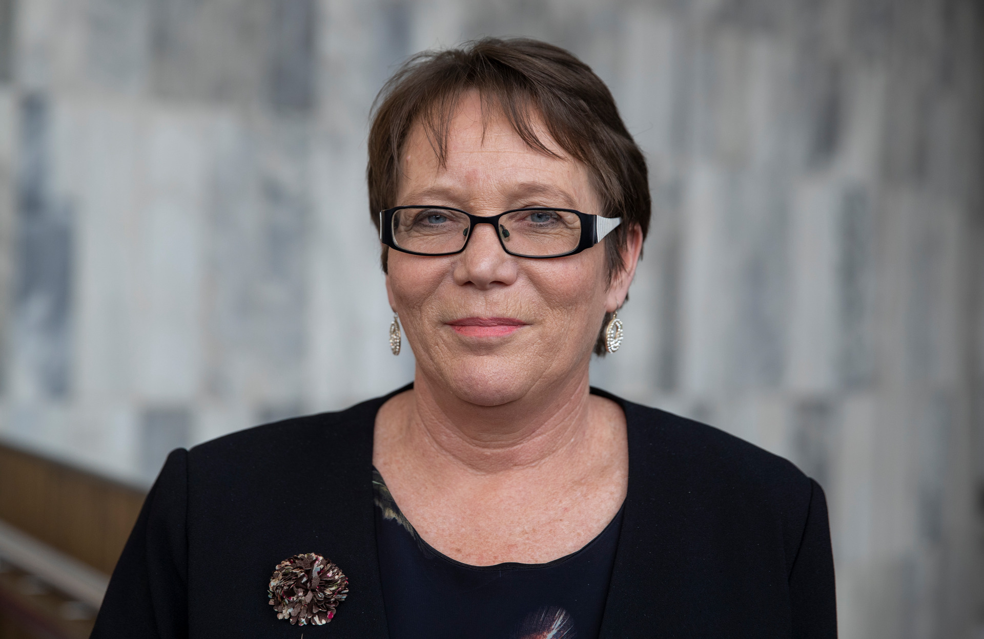 The state has a role to play in protecting Kiwi kids from the harmful effects of online porn, Internal Affairs Minister and Minister for Children Tracey Martin says. File photo / Mark Mitchell