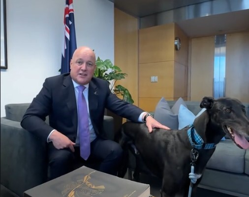 Prime Minister Christopher Luxon, here posing with greyhound Donald, says he's pleased the Government's ending greyhound racing. 

Source: Michael Morrah Tiktok