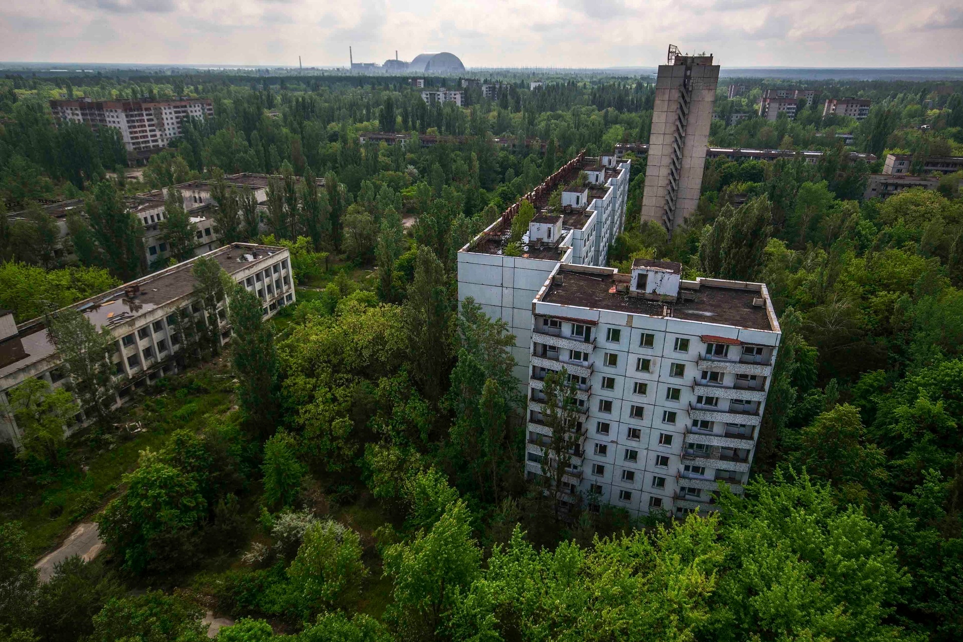 Nature wins the ghost town of Pripyat near the Chernobyl nuclear power plant. Photo / Supplied