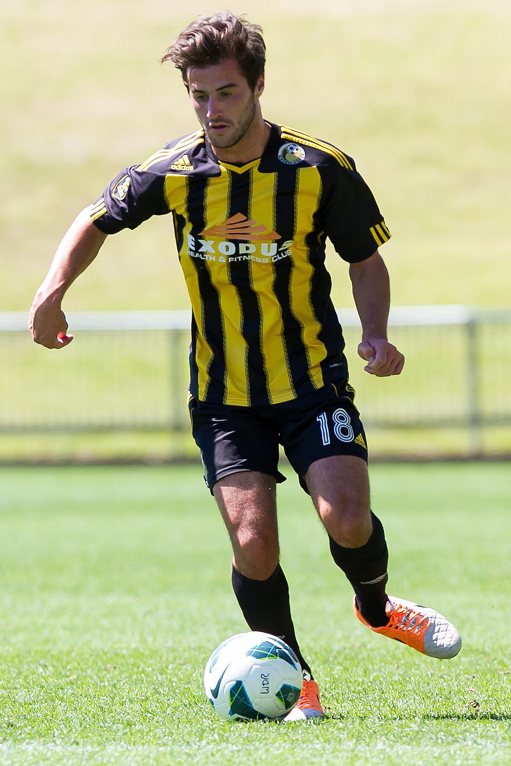 Tom Doyle's made the most of a second chance with the Phoenix, earning a contract extension. Photo / Photosport