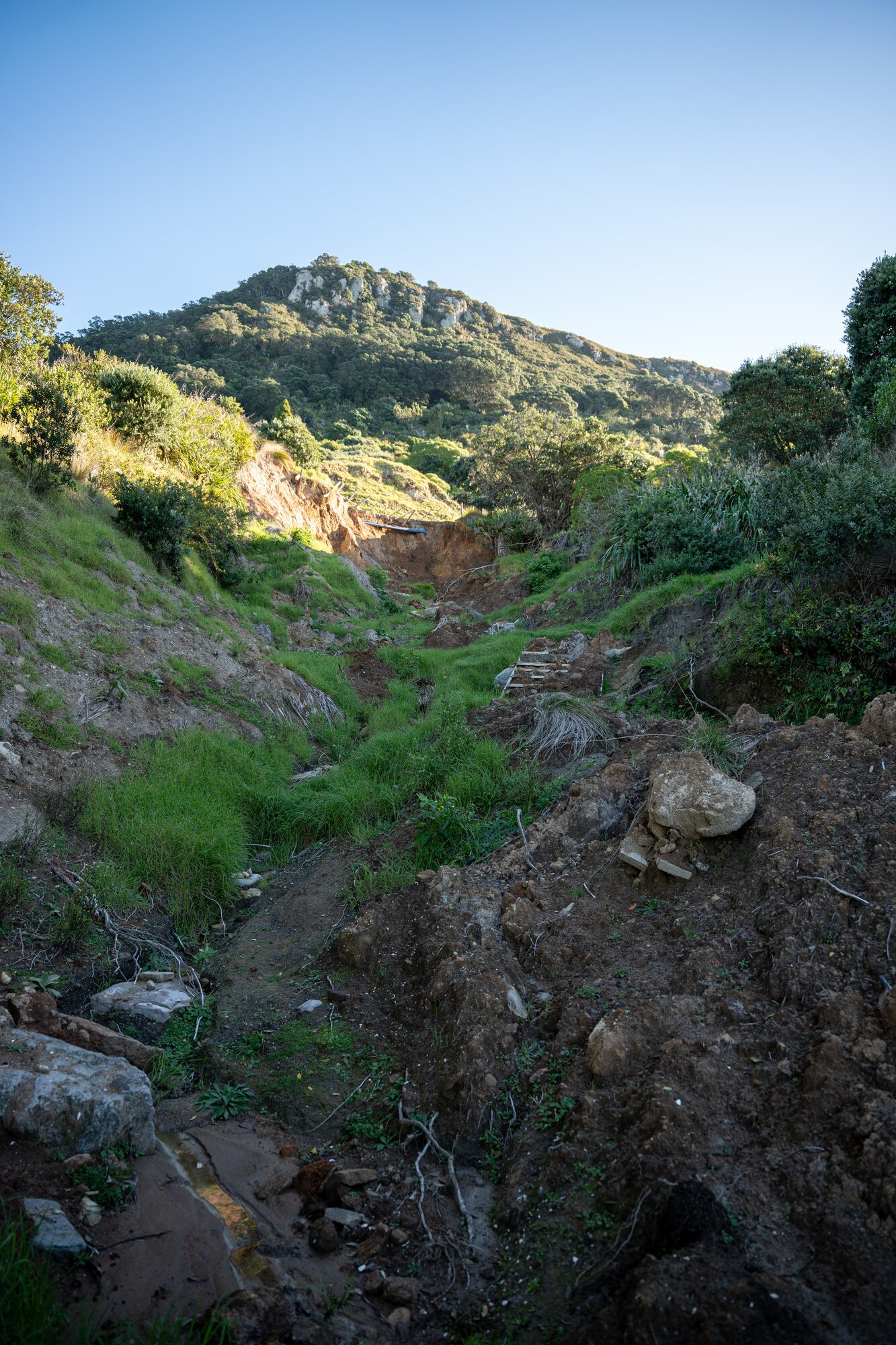 Landslide damage to an area of Mauao's tracks. Photo / Alyse Wright