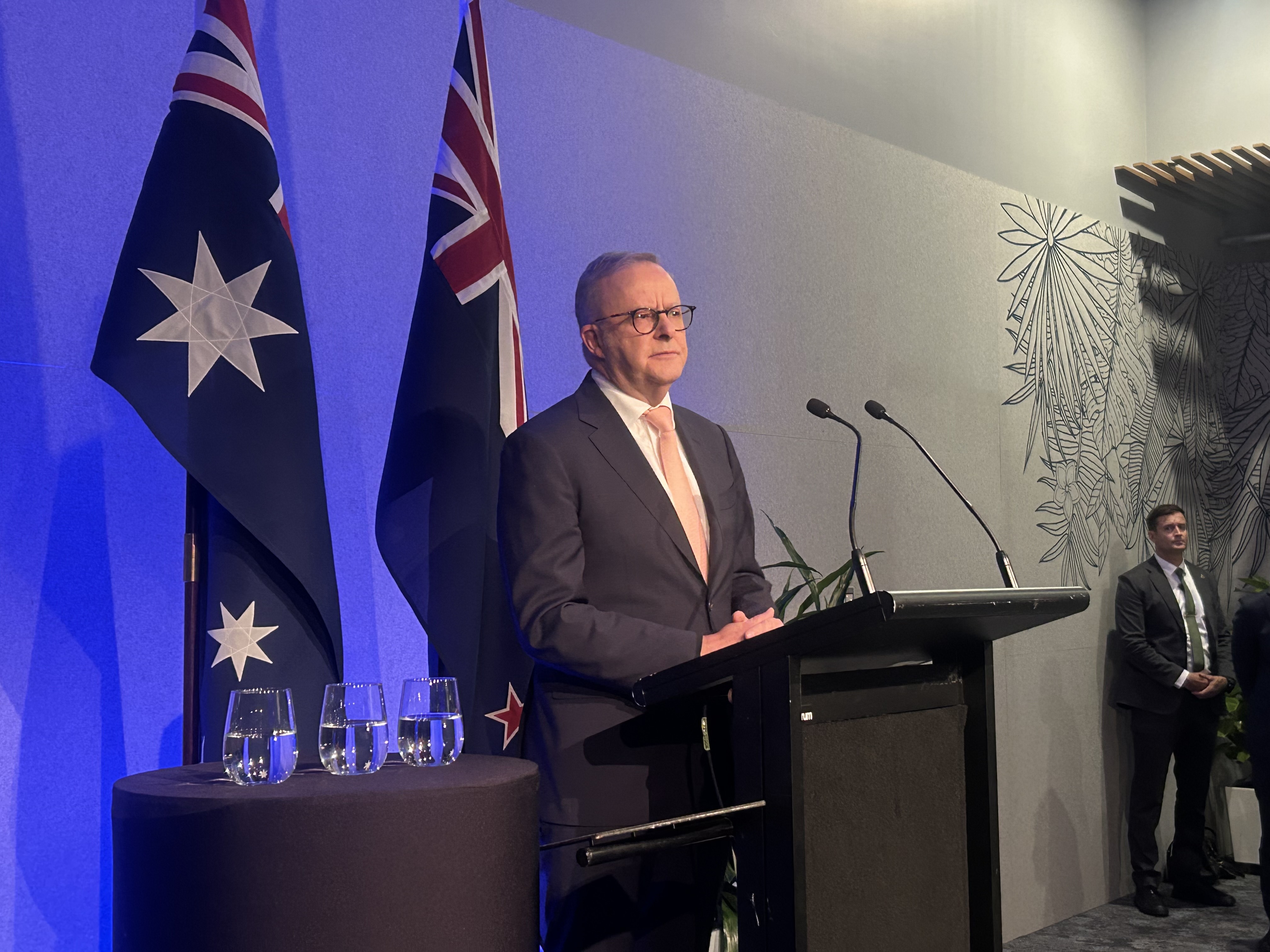 Australia PM Anthony Albanese warned of a volatile world. Photo / Adam Pearse