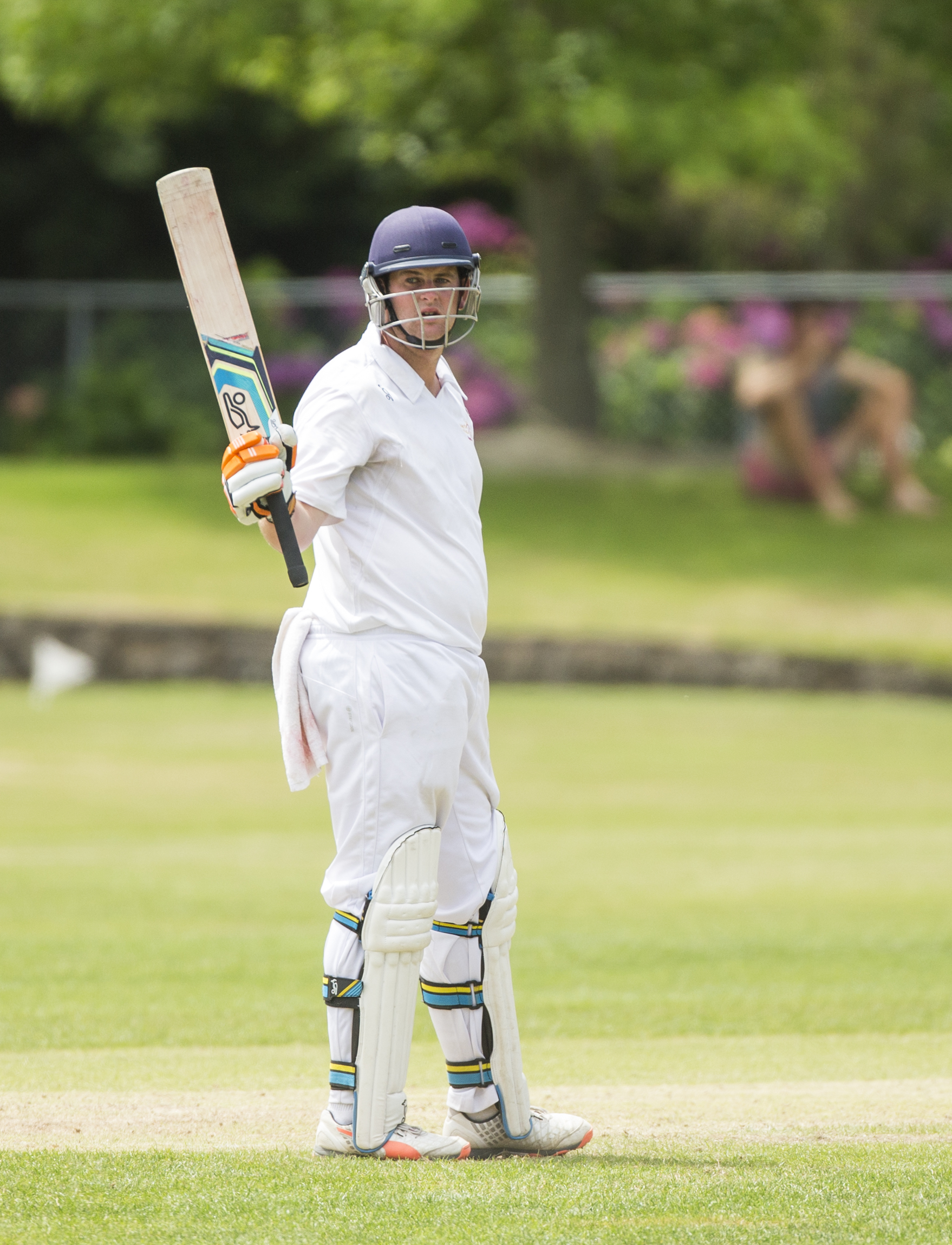 Cricket: Dominant Bay back on path to cup - NZ Herald