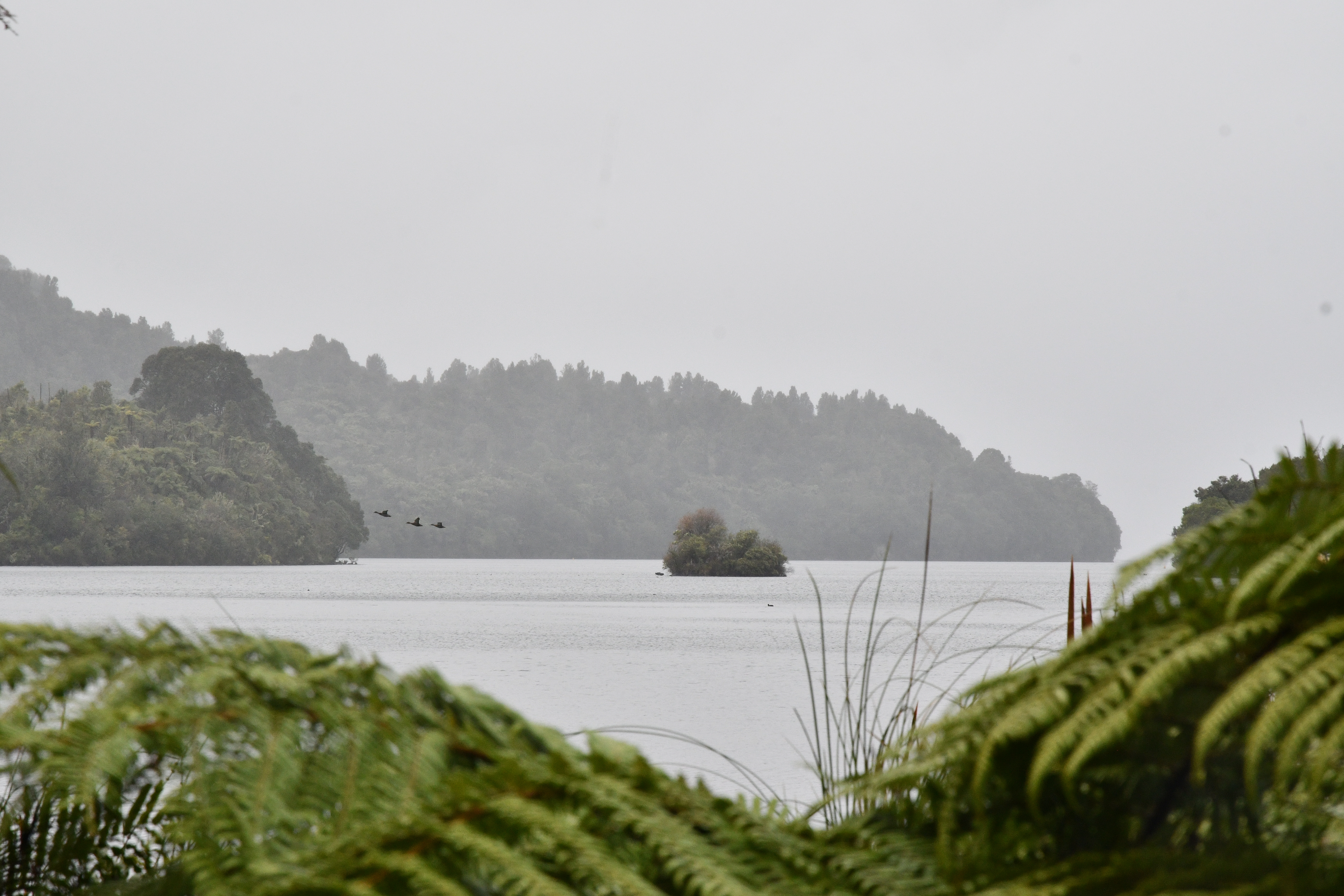 Lake Tarawera near Rotorua. Photo / Laura Smith