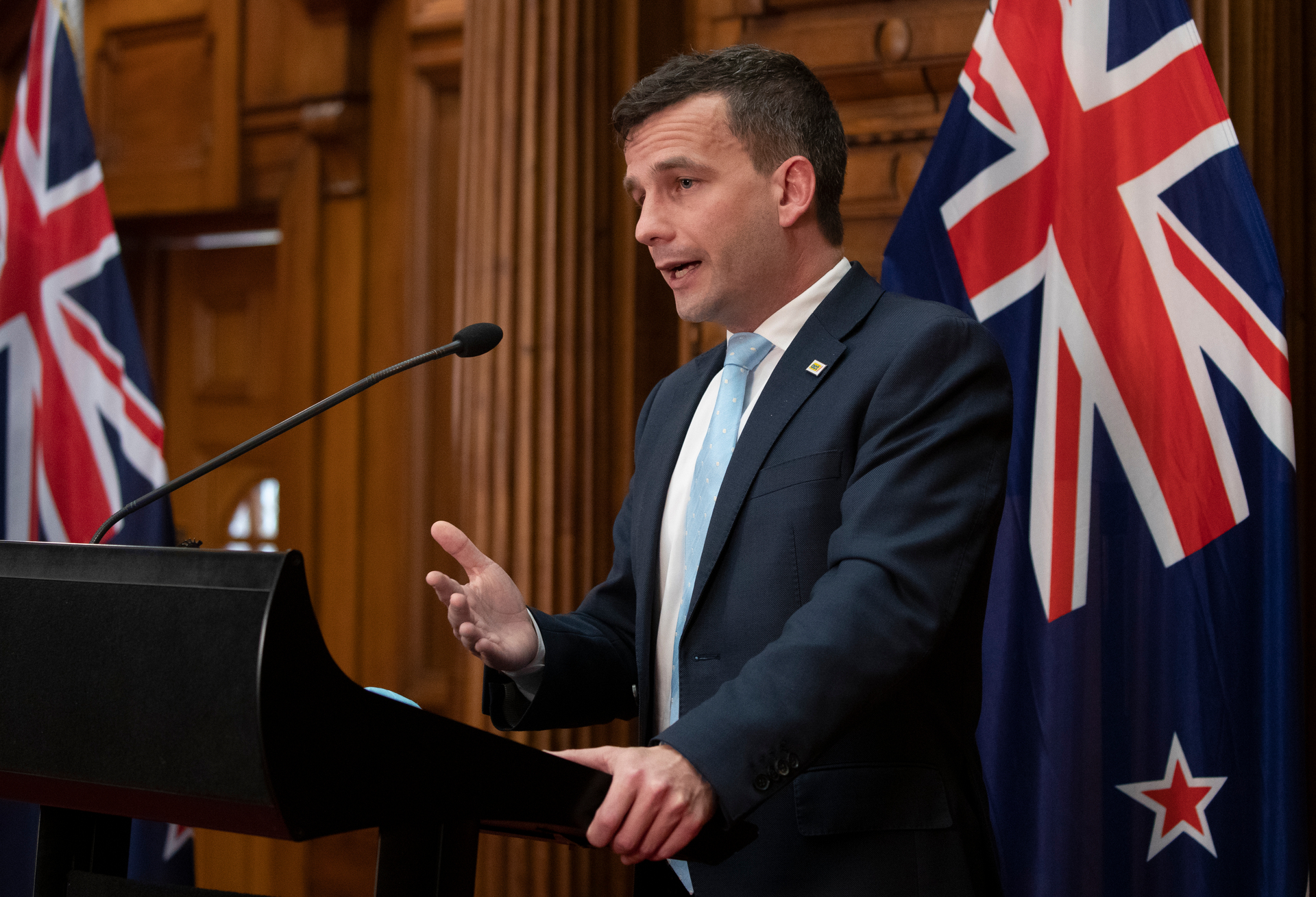 The Act party looks set to reject the Government's new housing policy, which will make it easier to build more houses on land in cities. Photo / Mark Mitchell
