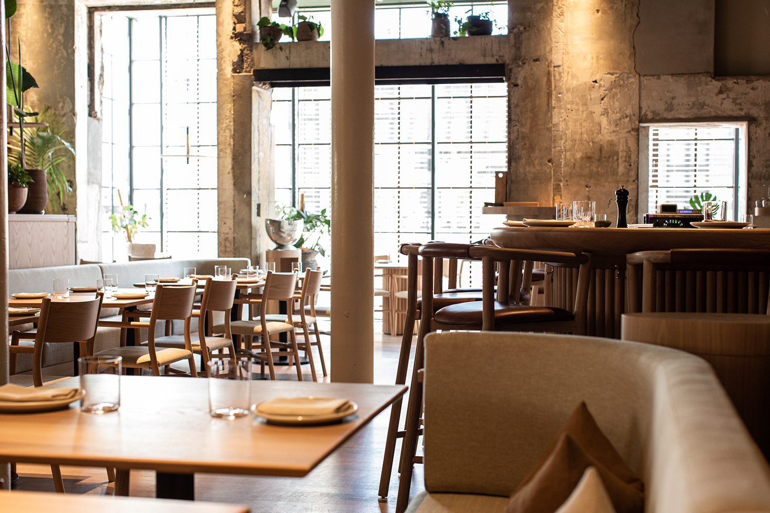 Expect warm, light-filled interiors at Mr Morris. Photo / Babiche Martens