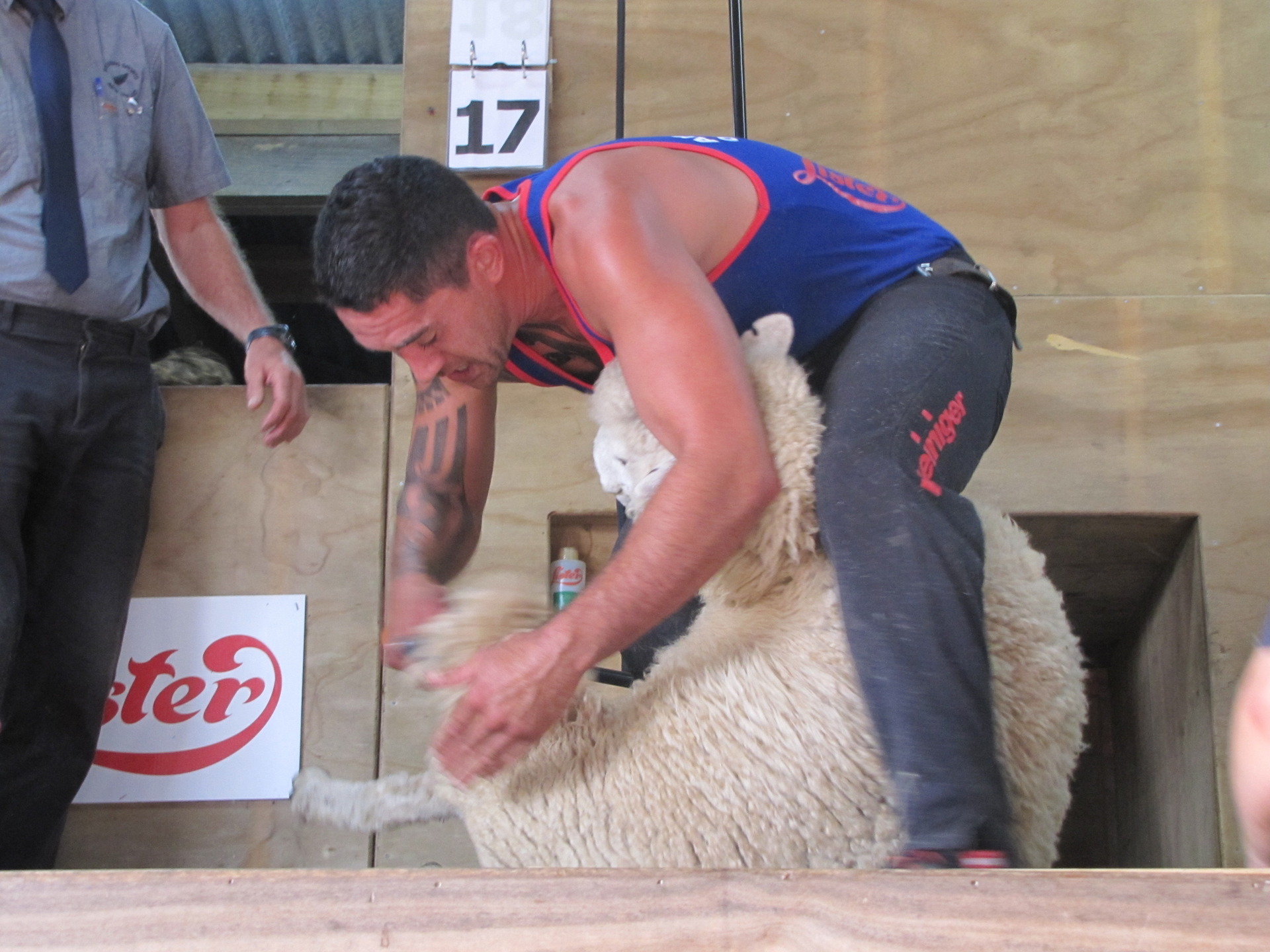 Northland shearer Toa Henderson, seen here winning the Apiti Sports Shears title for the first time in 2020. Photo / SSNZ