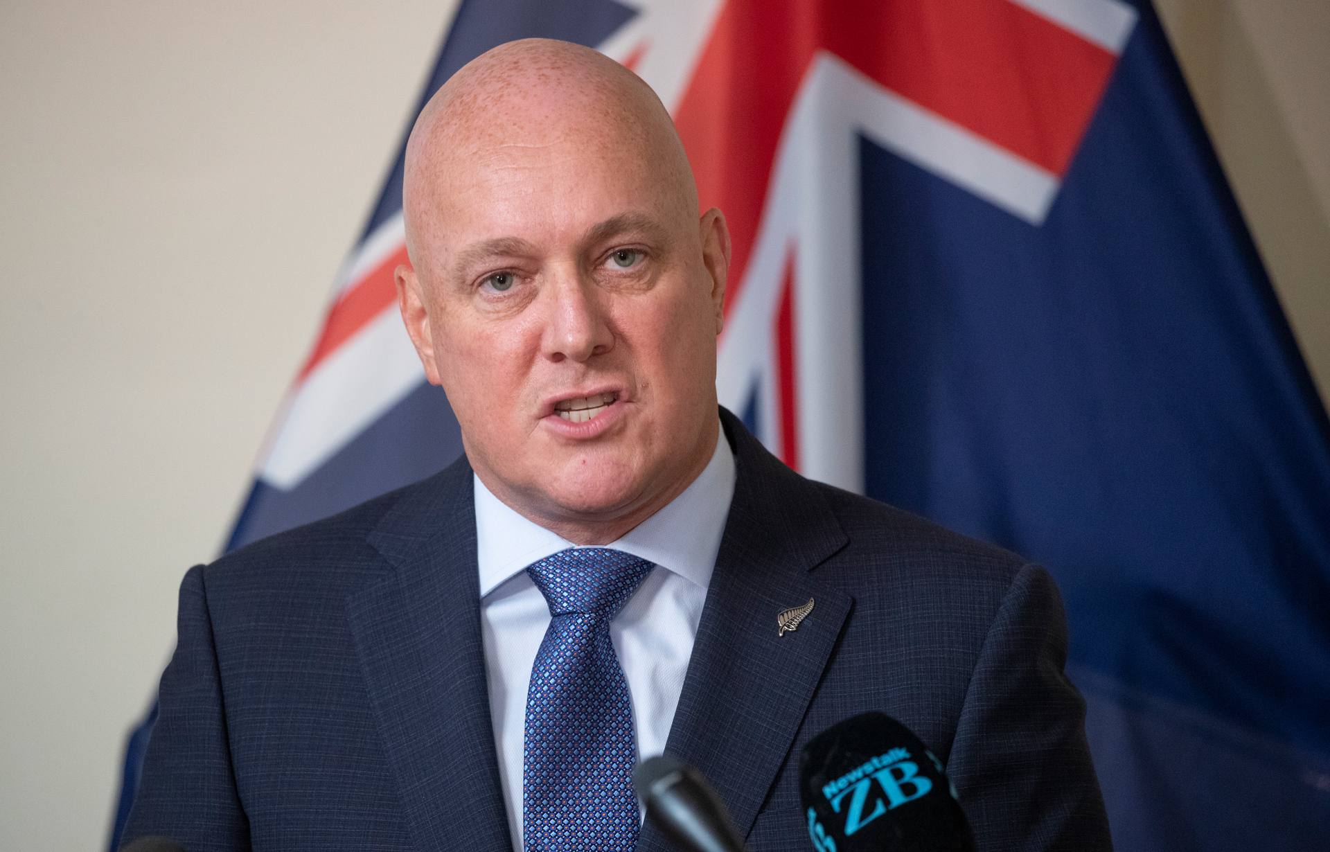 National Party leader Christopher Luxon. Photo / Mark Mitchell