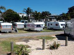 Caravans at the Takapuna Beach Holiday Park. Photo / Doug Sherring