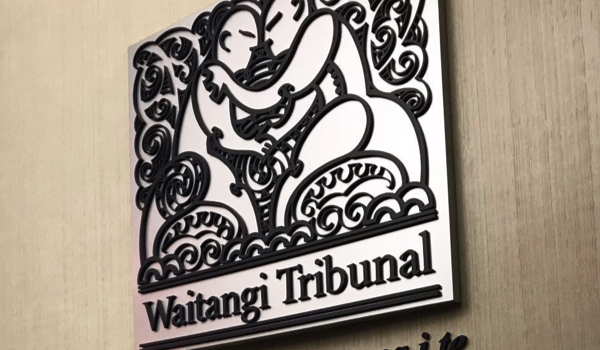 The Waitangi Tribunal is under fire from David Seymour and Shane Jones.