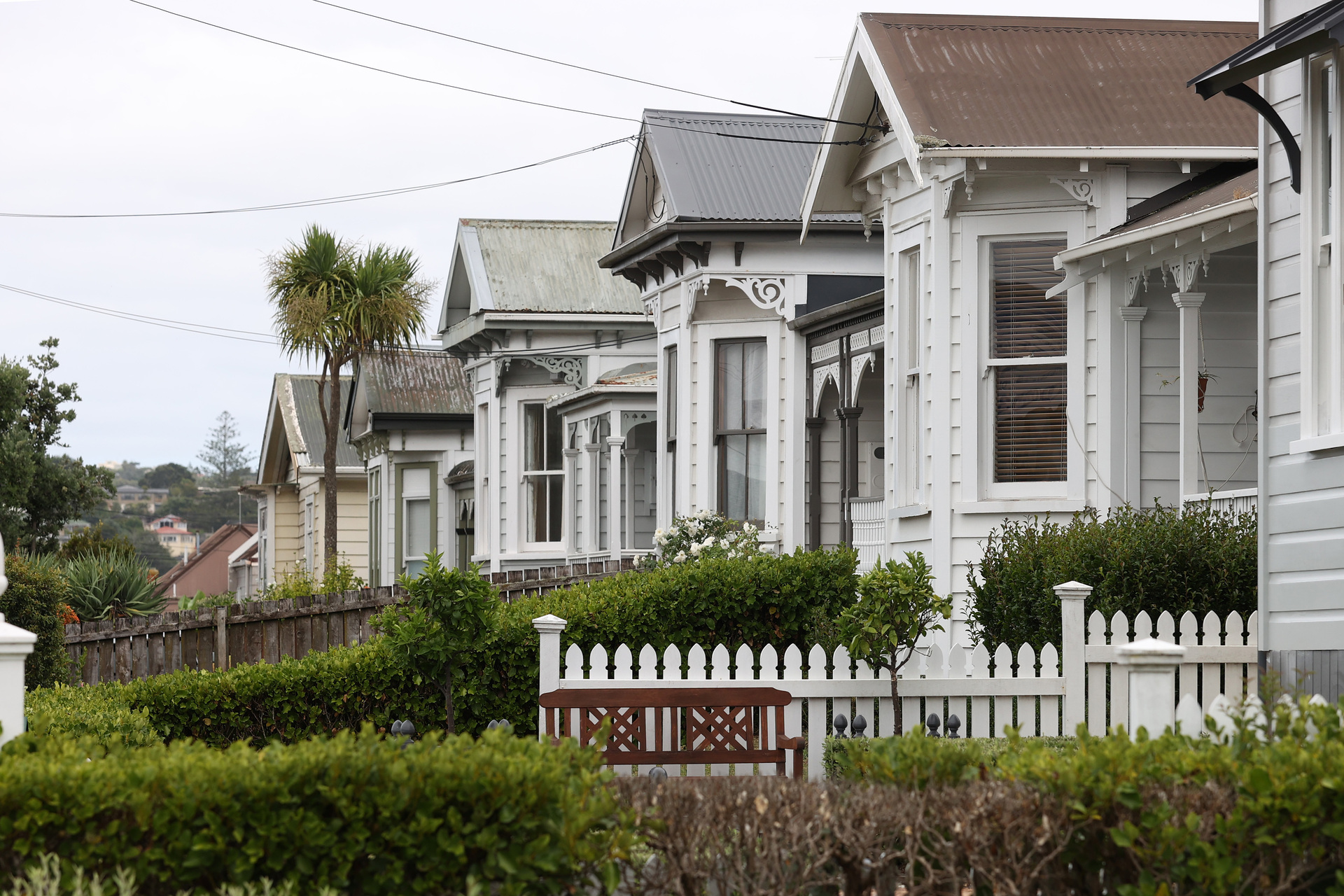 Housing is back as a key election battleground. Photo / Fiona Goodall
