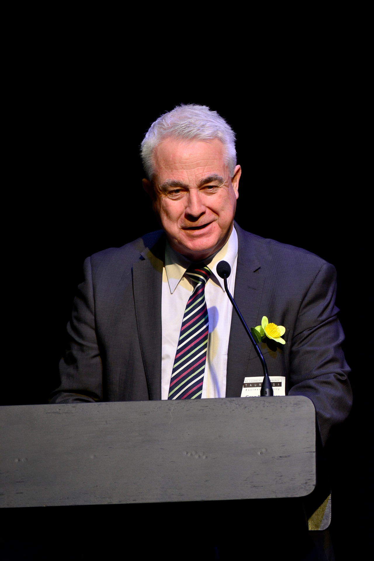 Greg Brownless, who served one term. Photo / File 