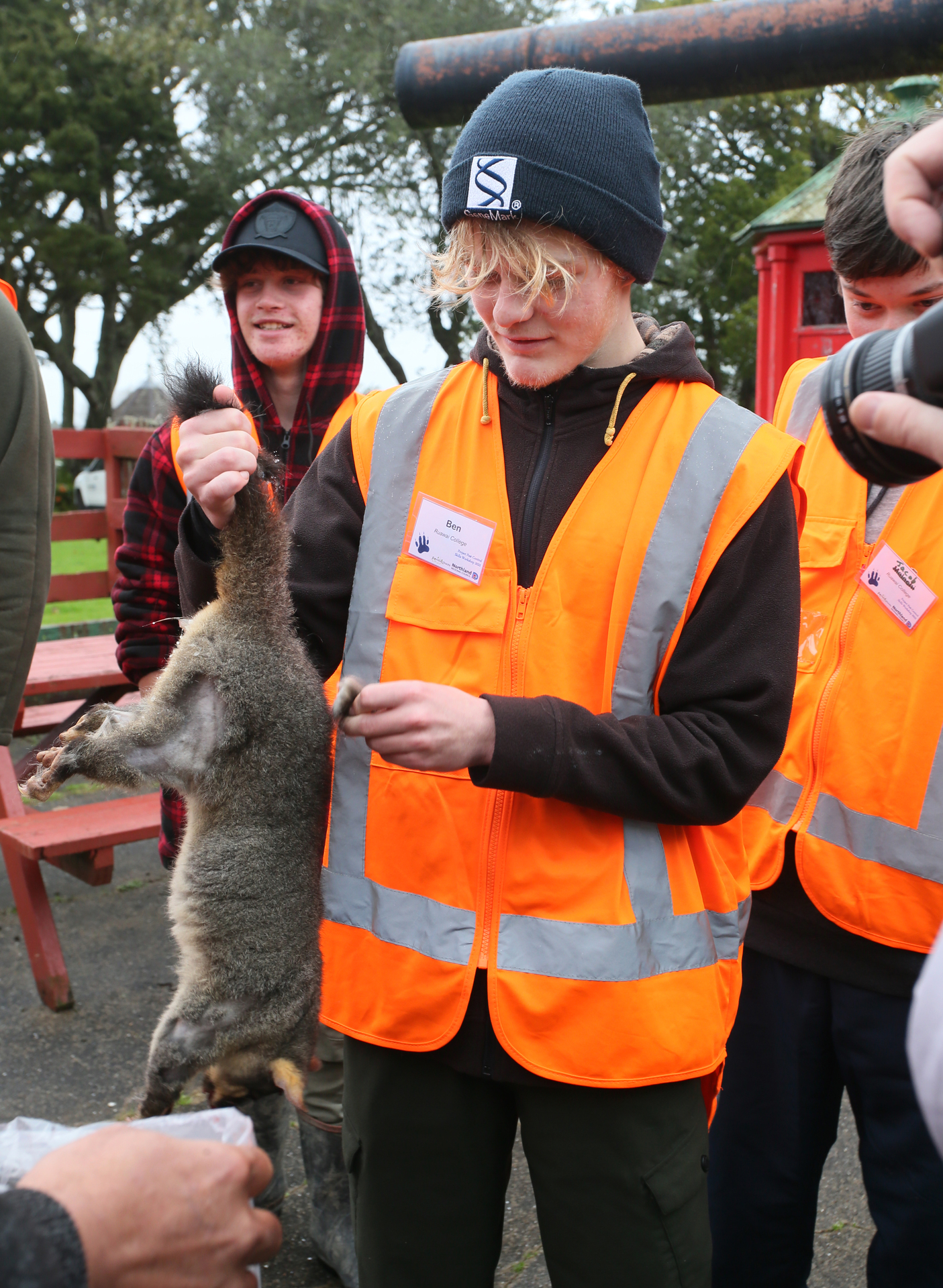 Ben Watkins, from Ruawai College, plucks fur from a possum. Photo / Tania Whyte