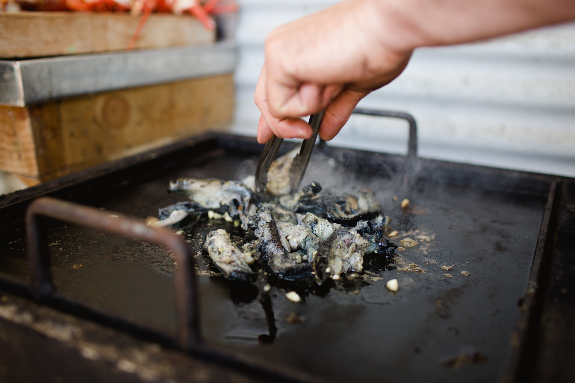 From ocean to hot plate - pāua caught by Tora Collective's Claire Edwards and Troy Bramley. Photo/Benjamin Johnson
