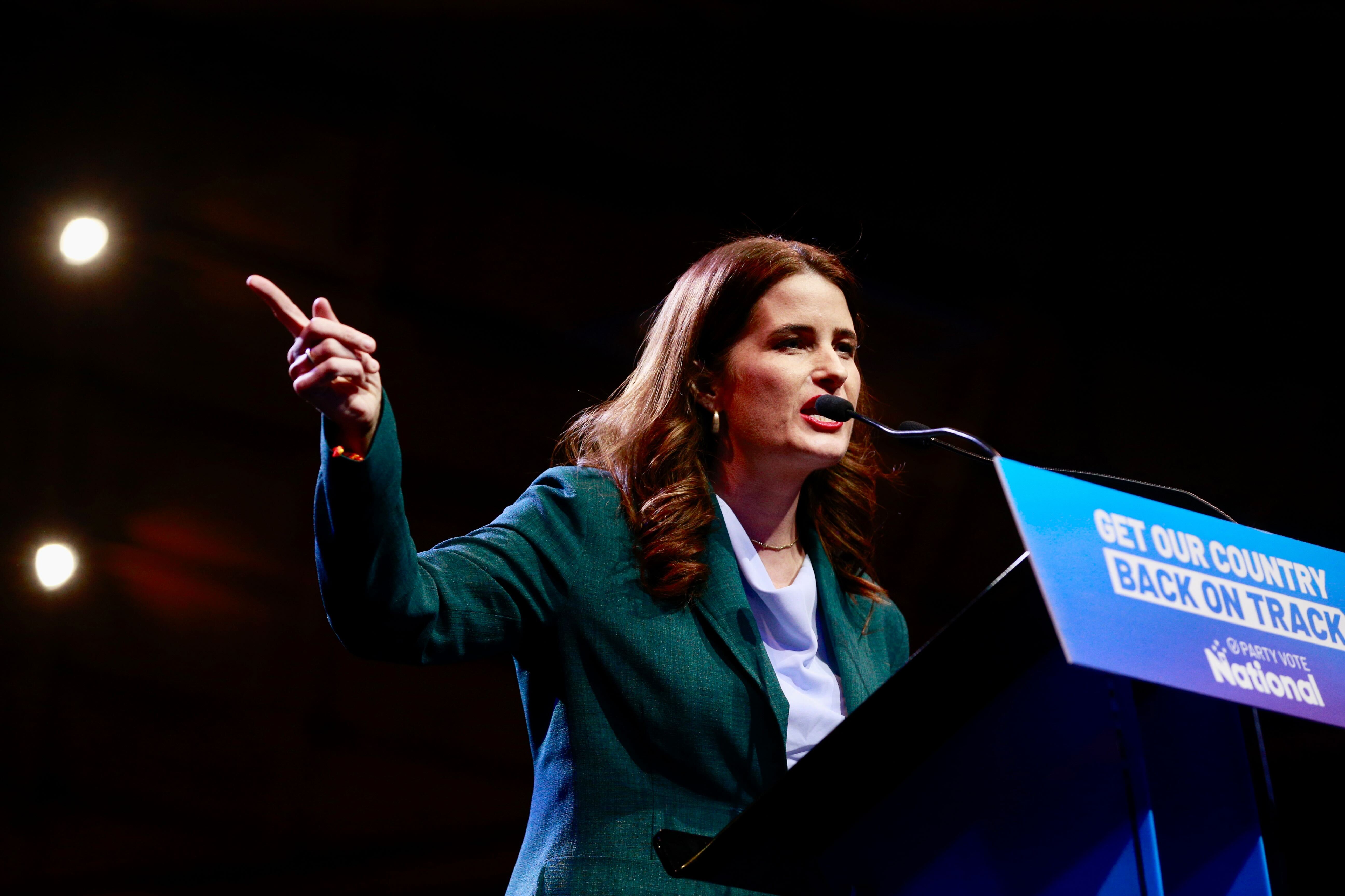 Nicola Willis has identified 24 Government agencies for immediate cuts. Photo / Alex Burton