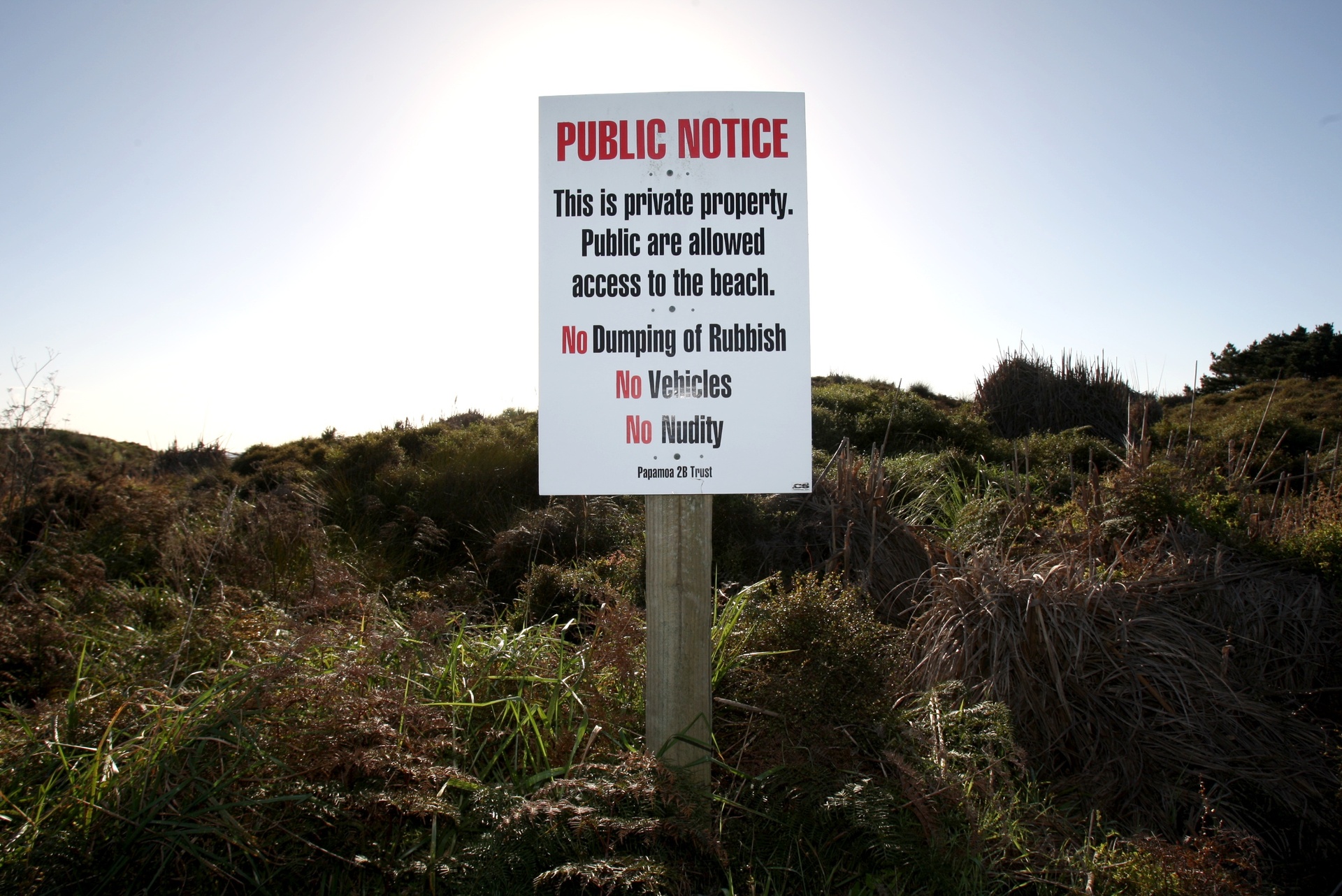 Hippie Naturist Beach - Dawn Picken: Bodies are beautiful - why do some of us have trouble with  public nudity? - NZ Herald