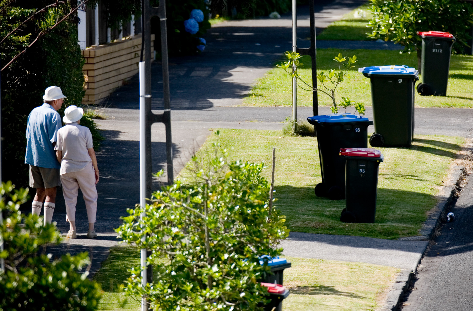 Auckland City recycling wheelie bins wait for collection in Pt Chevalier. Photo / Dean Purcell