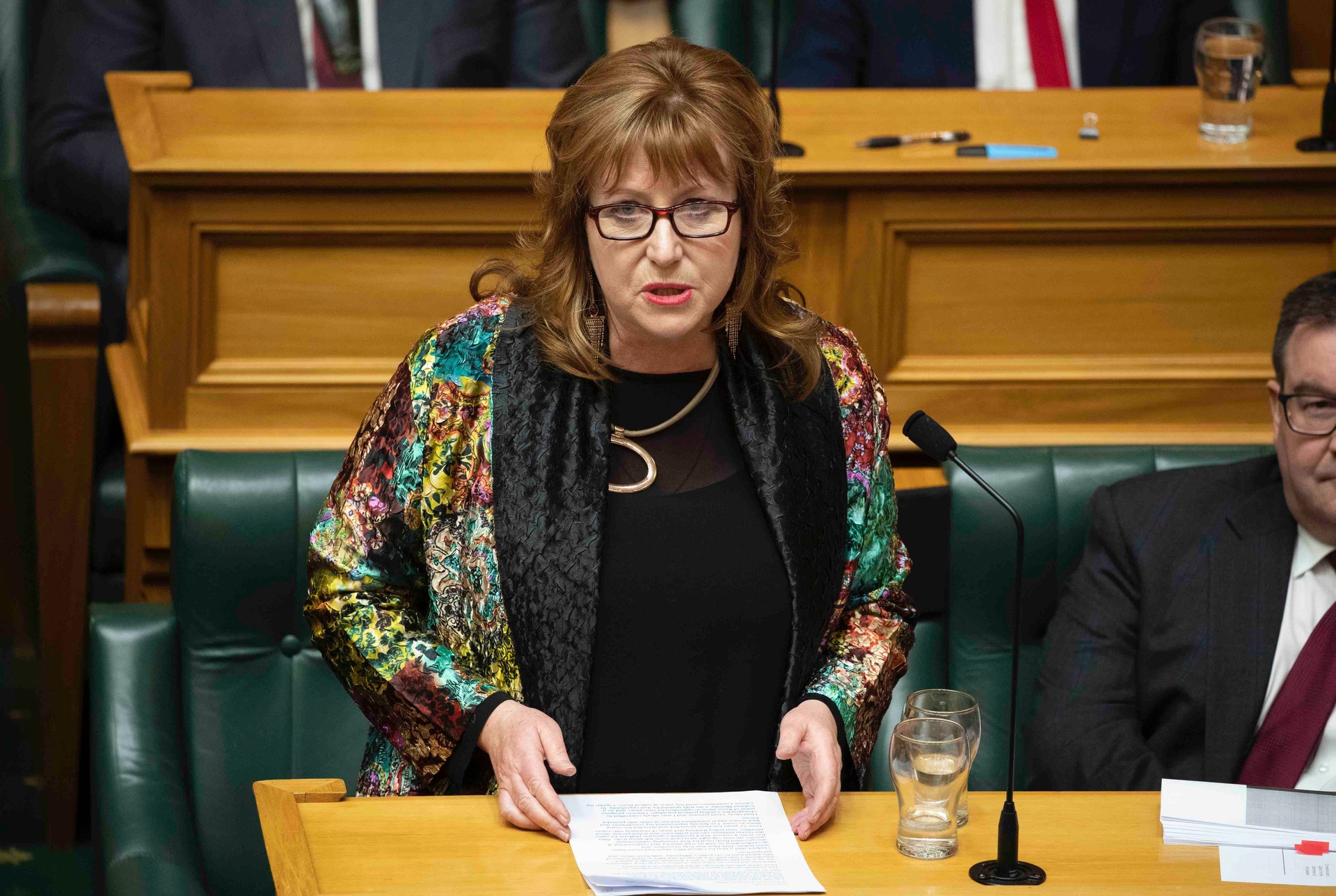 Clare Curran, Labour MP for Dunedin South, during her valedictory speech in Parliament this month. Photo / Mark Mitchell