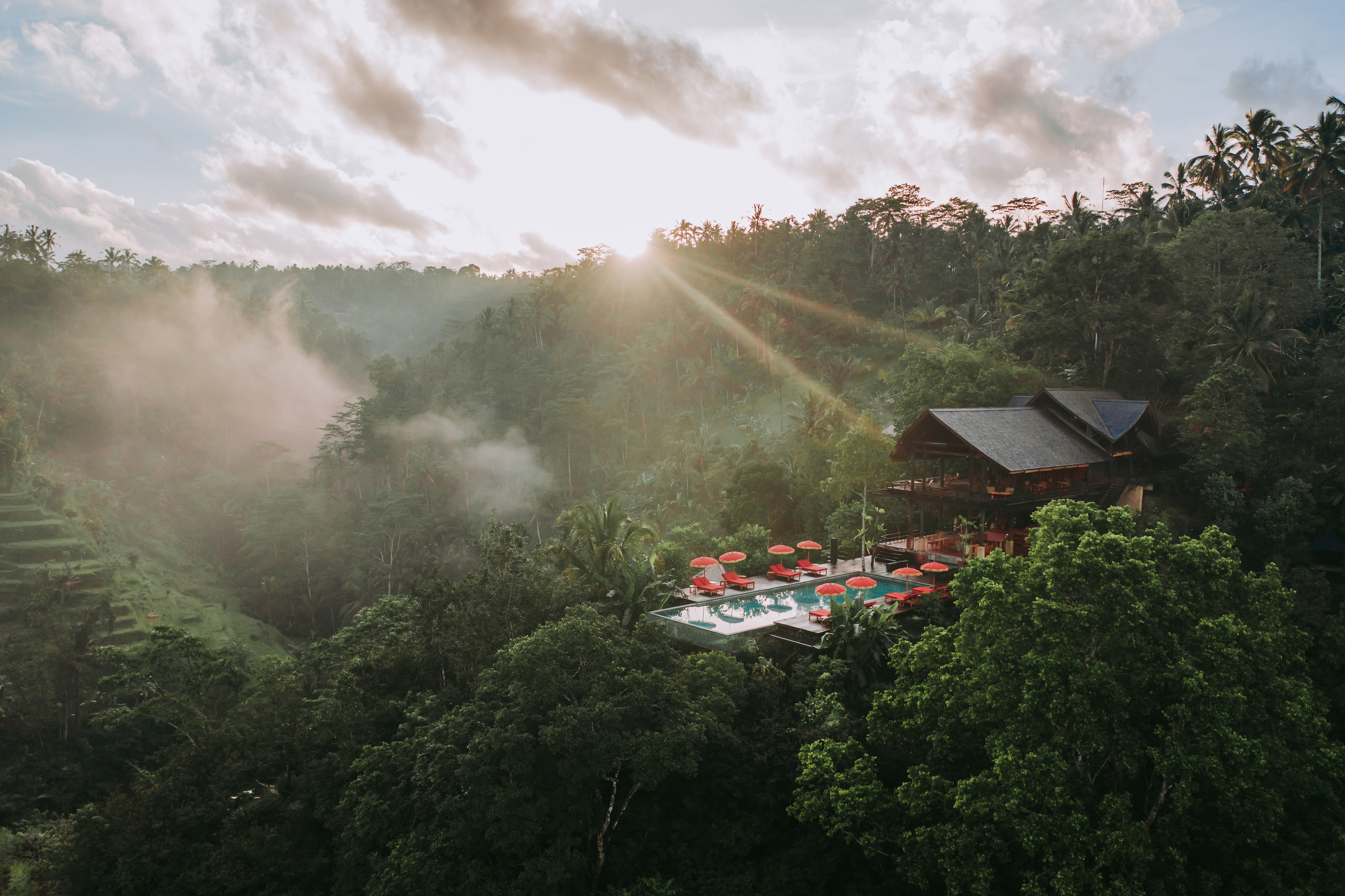 Opened in June 2022, Bali's Buahan Tree Escape immerses its guests in the surrounding nature with its 'no walls, no doors' concept, which it calls 'The Naked Experience'. Photo / Supplied 