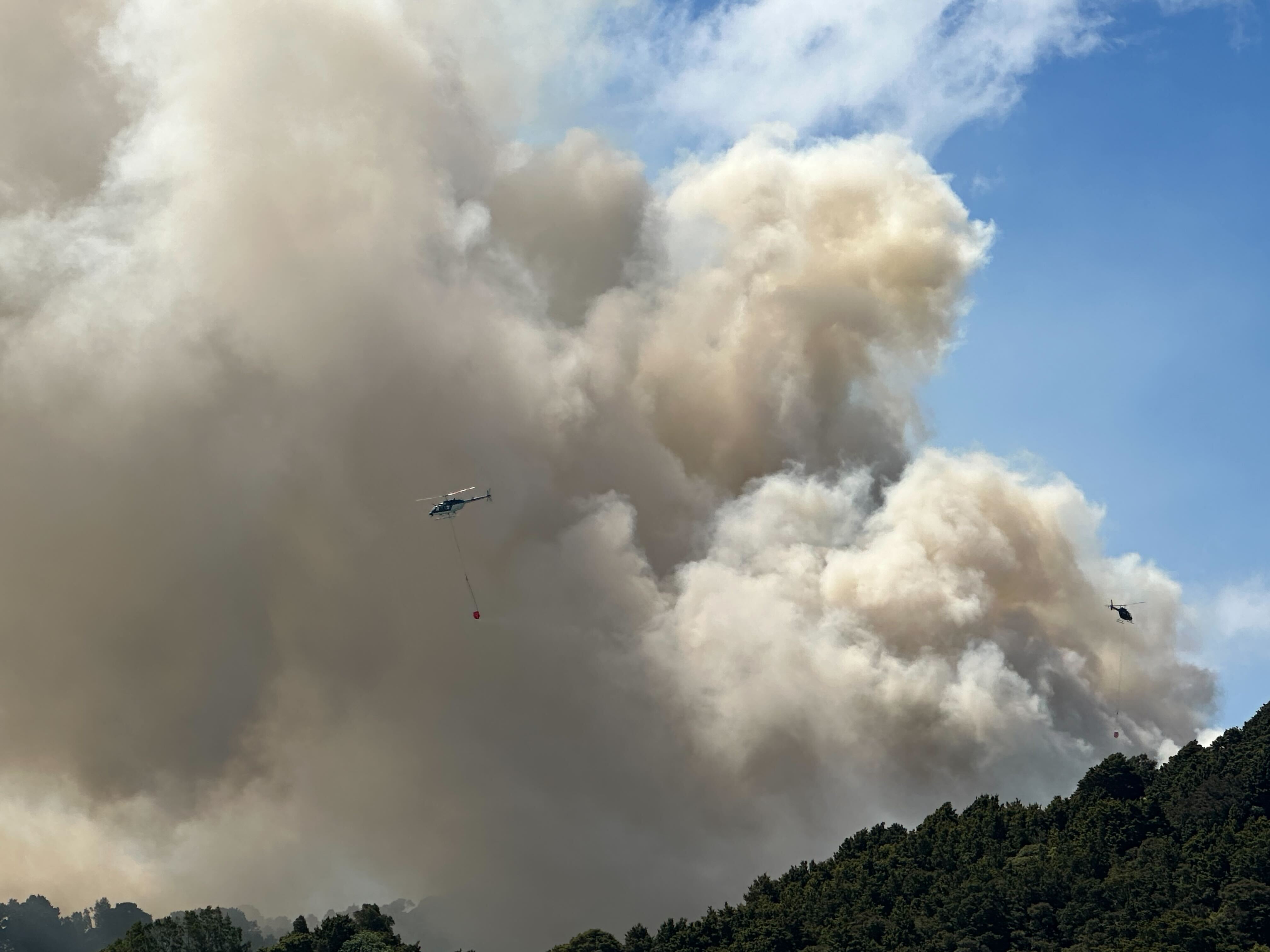 A large vegetation fire broke out on Whangārei Heads Rd between Onerahi and Tamaterau. Photo / Karina Cooper