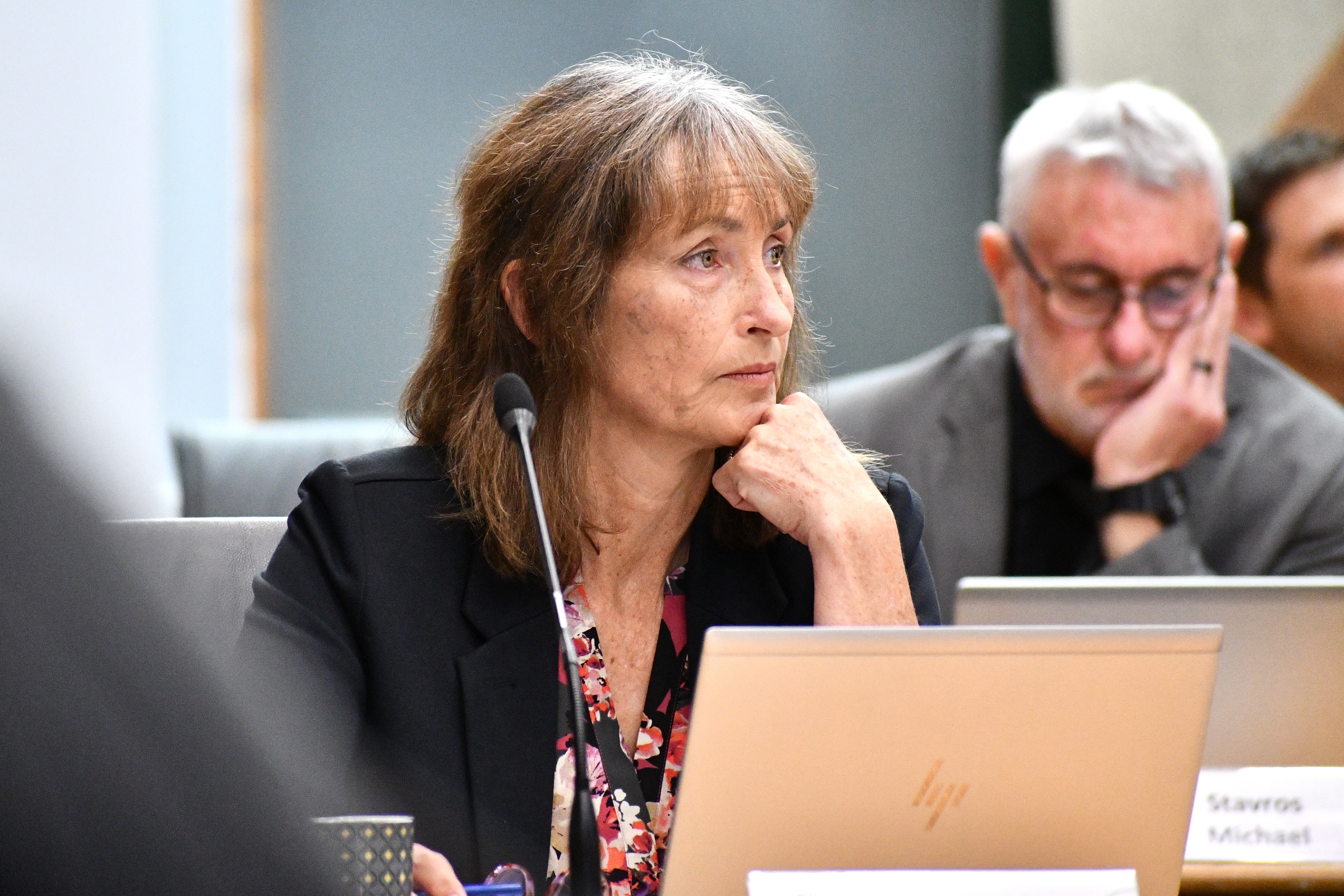 Karen Barker is chair of the council's infrastructure and environment  committee. Photo / Laura Smith
