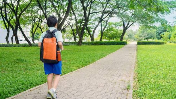 Survey reveals almost 30 per cent of New Zealand children with a disability are being unlawfully denied enrolment at their local school. Photo / File 