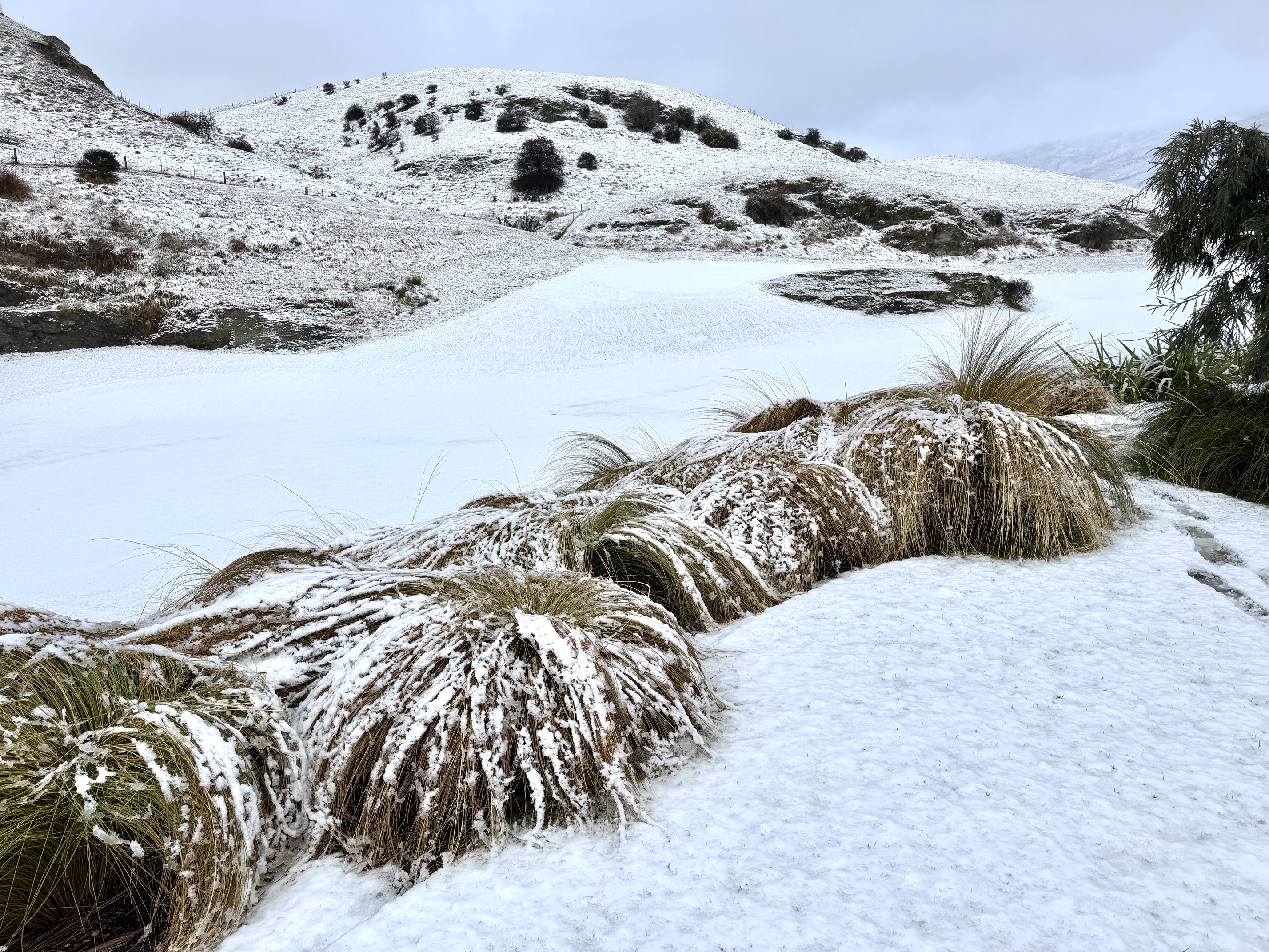 Arrowtown hills on Thursday morning. Photo / Dave Tommas