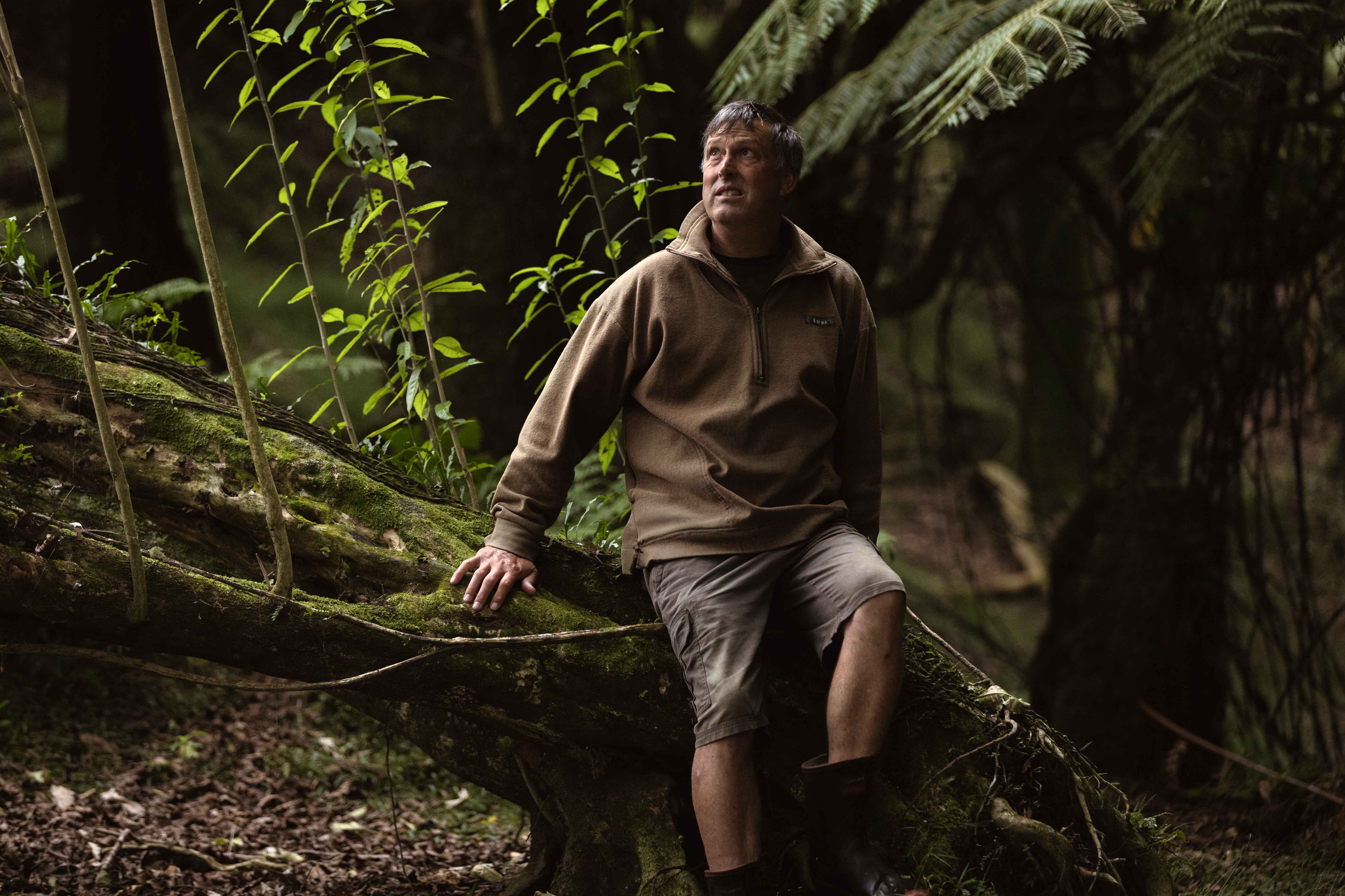 Native trees are a feature on Brent Mountfort's farm. Photo / Alex Cairns