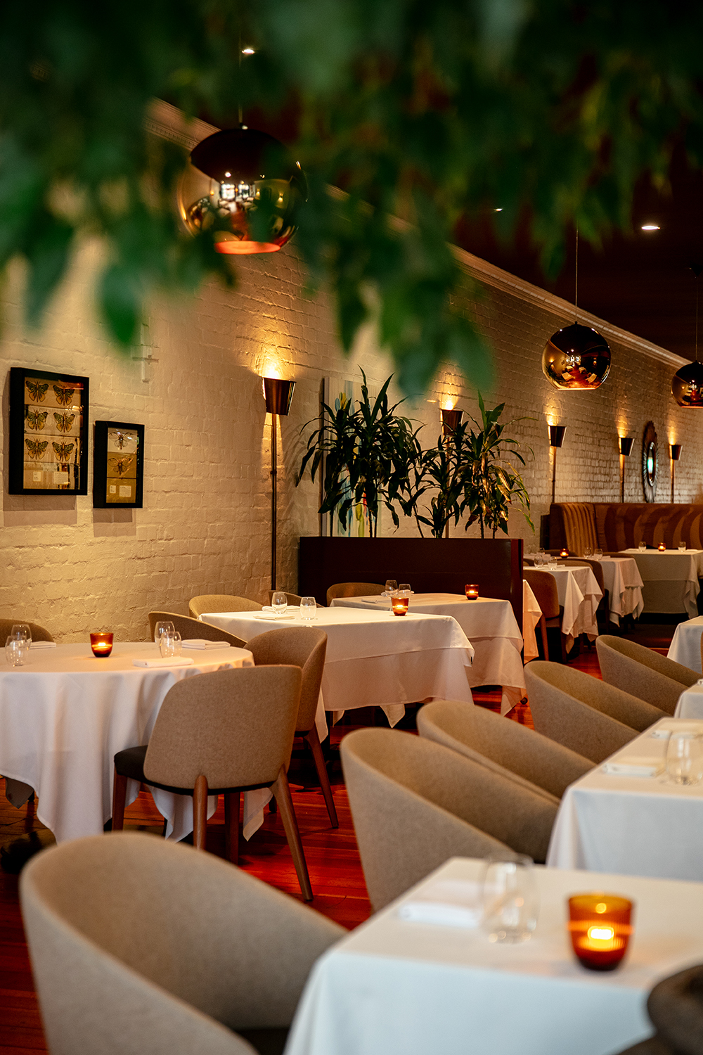 The Grove is filled with charismatic and expert servers. Photo / Babiche Martens