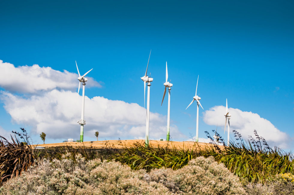 The Hau Nui Wind Farm near Martinborough. Photo / Wairarapa Times-Age 