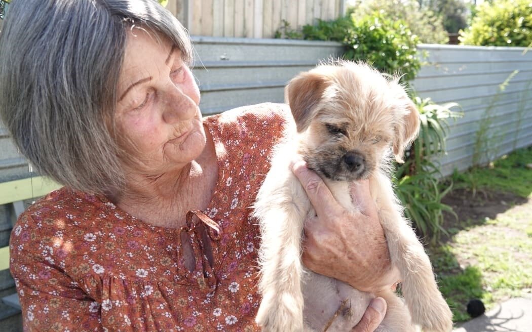  Lake Alice survivor Robyn Dandy has received her rapid redress payment. Photo / Jimmy Ellingham RNZ