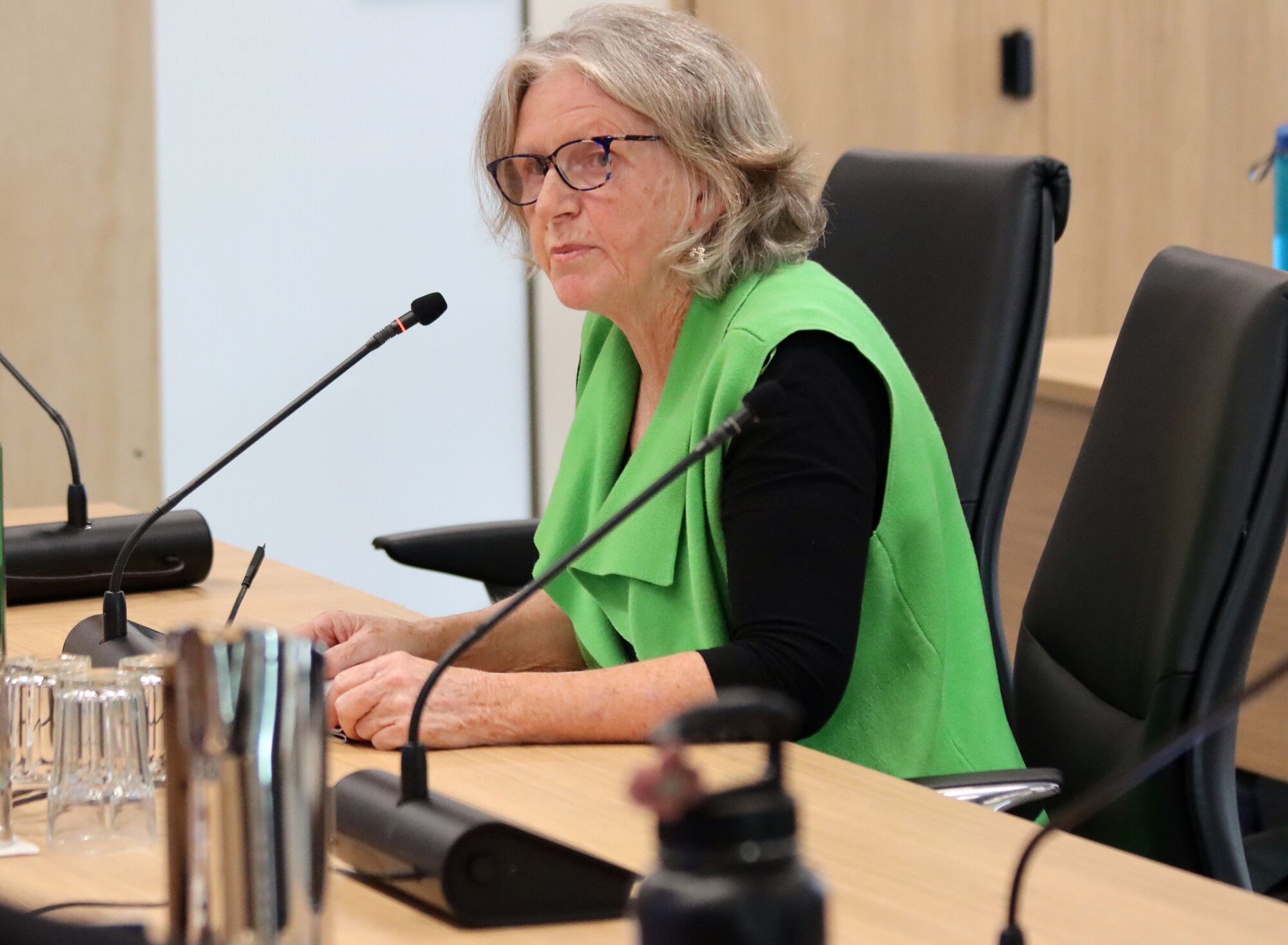 Jan Gyenge wanted no residential rates rise. Photo / Alisha Evans