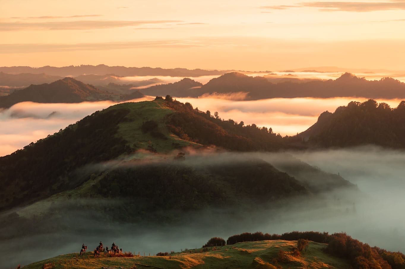 The view from The Chef's Table at dawn. Photo / Plateau Productions