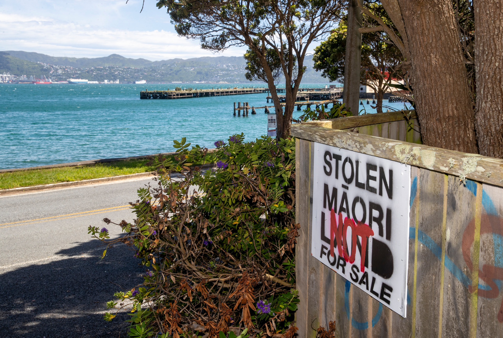 Shelly Bay is currently the subject of a land occupation. Photo / Mark Mitchell